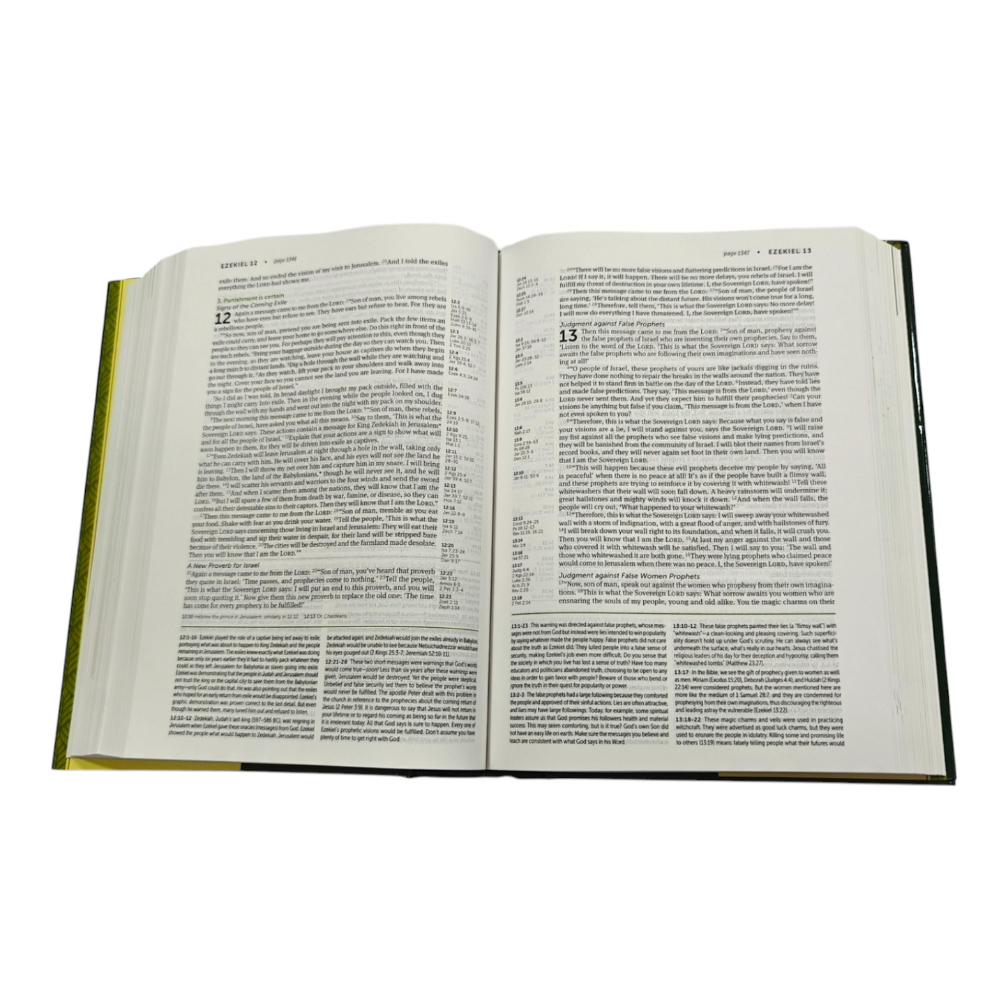 NLT Life Application Study Bible