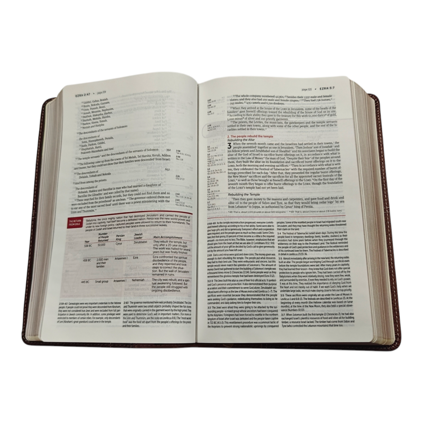 NIV Life Application Study Bible: Brown Leathersoft