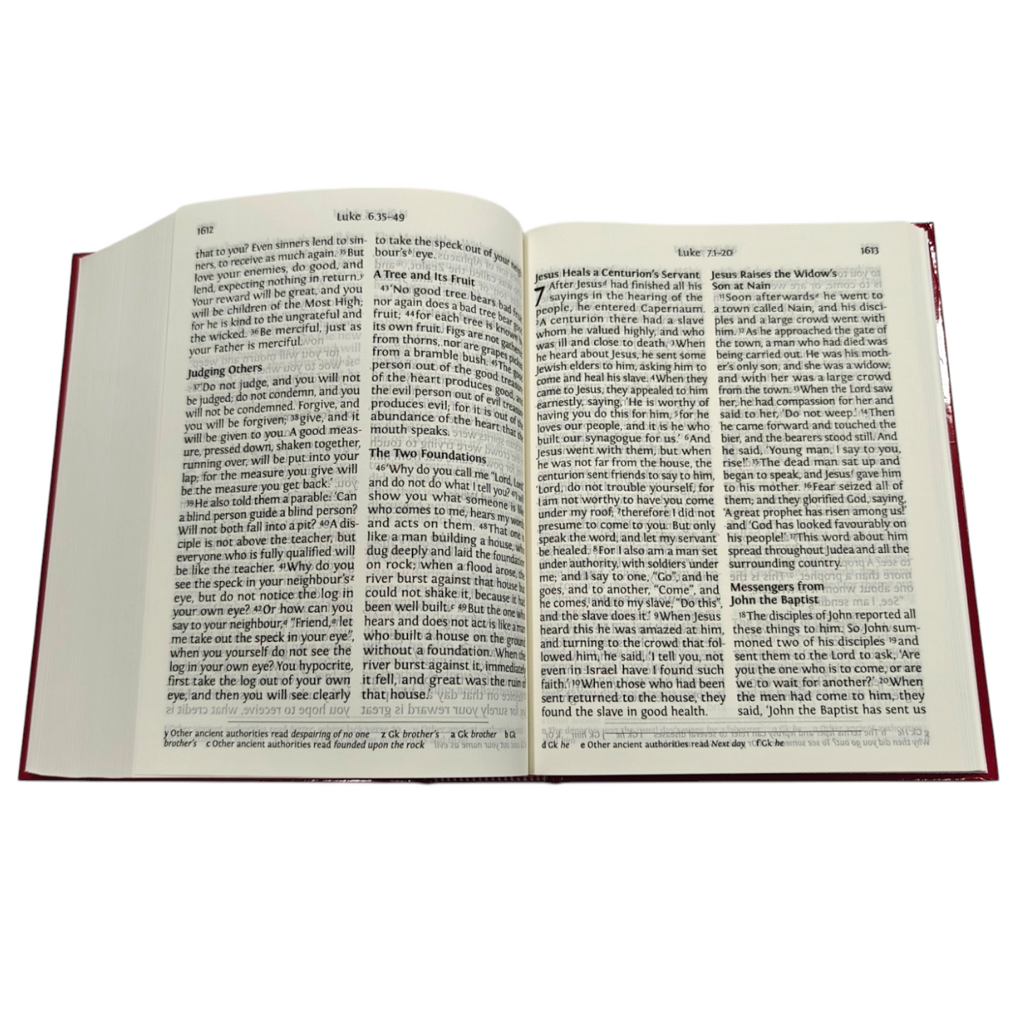 NRSV Large Print Bible