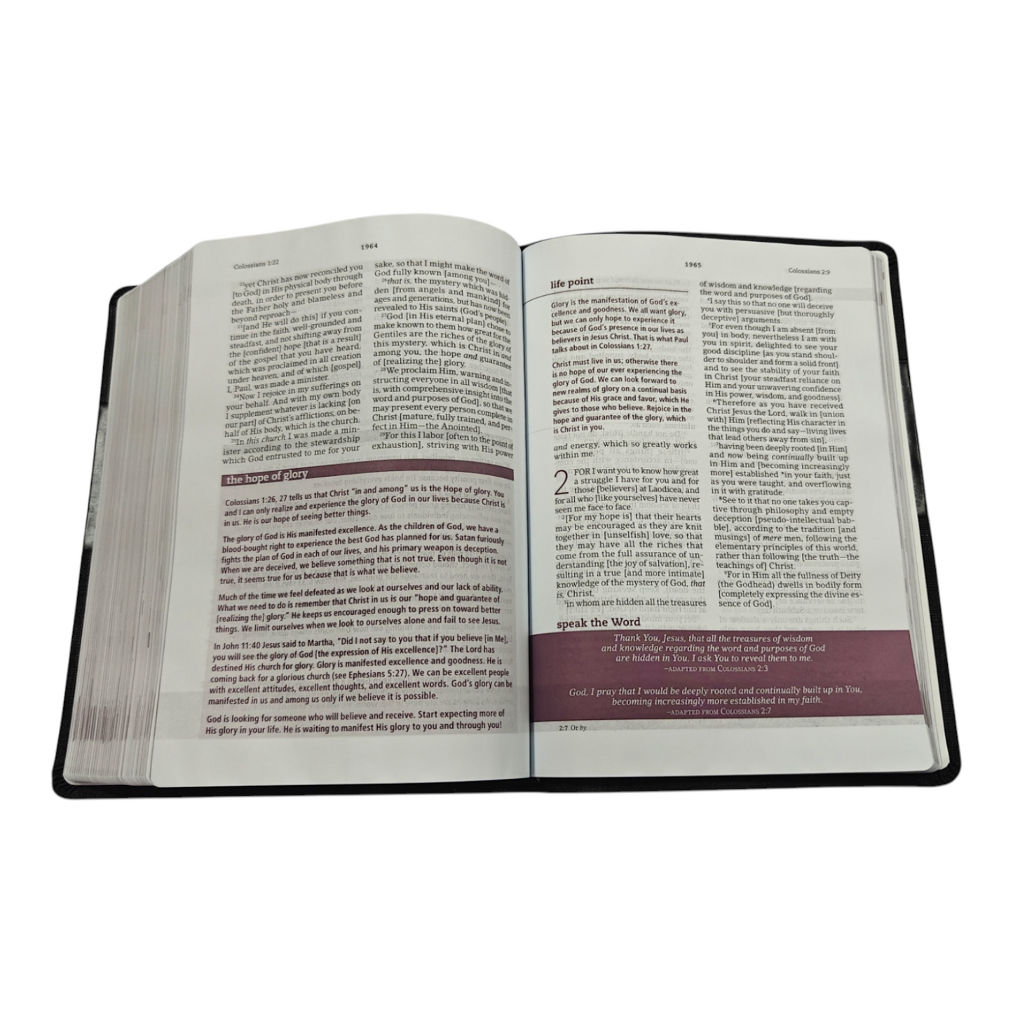 The Everyday Life Bible Large Print Black Leatherluxe: The Power of God's Word for Everyday Living - Leather