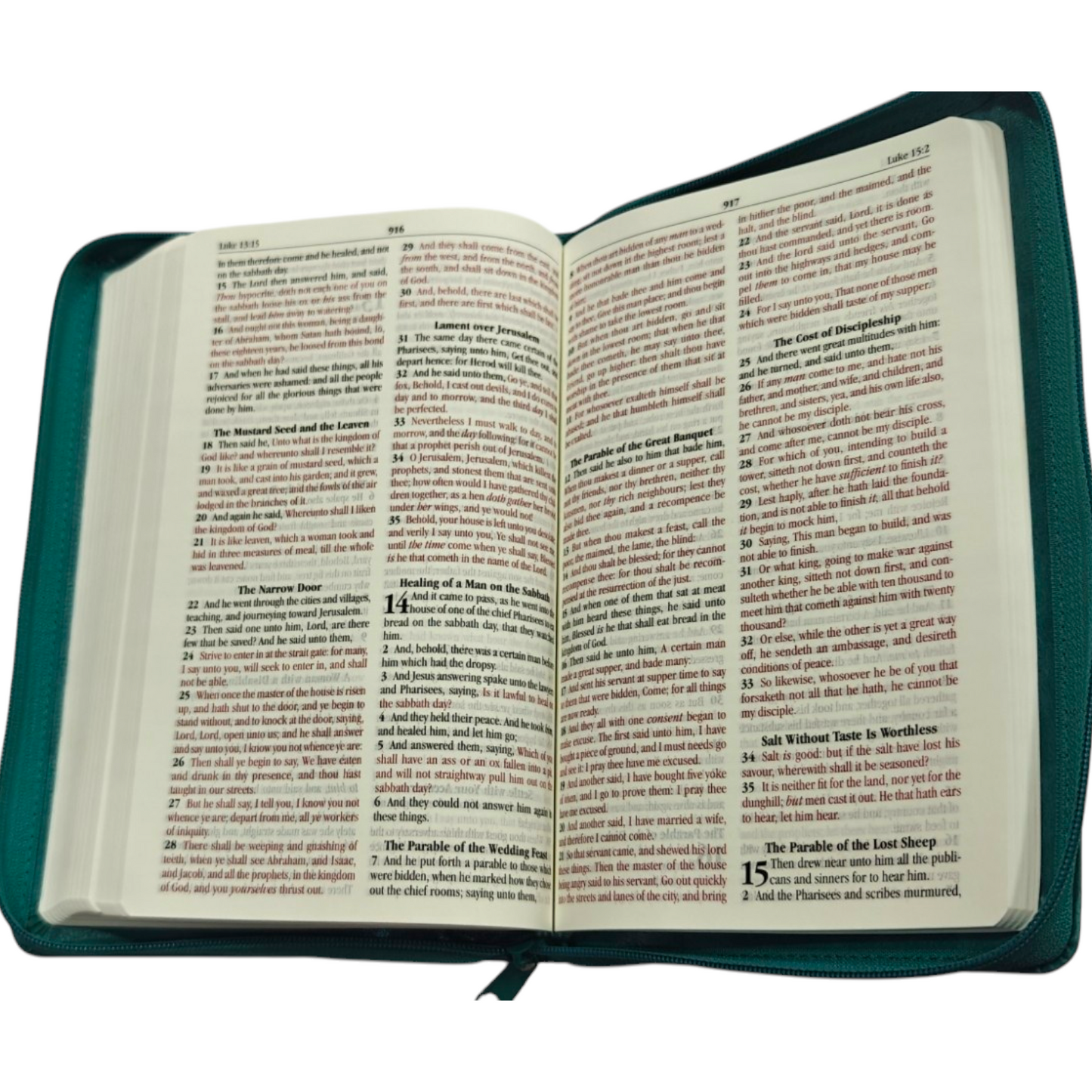 KJV Deluxe Gift Bible