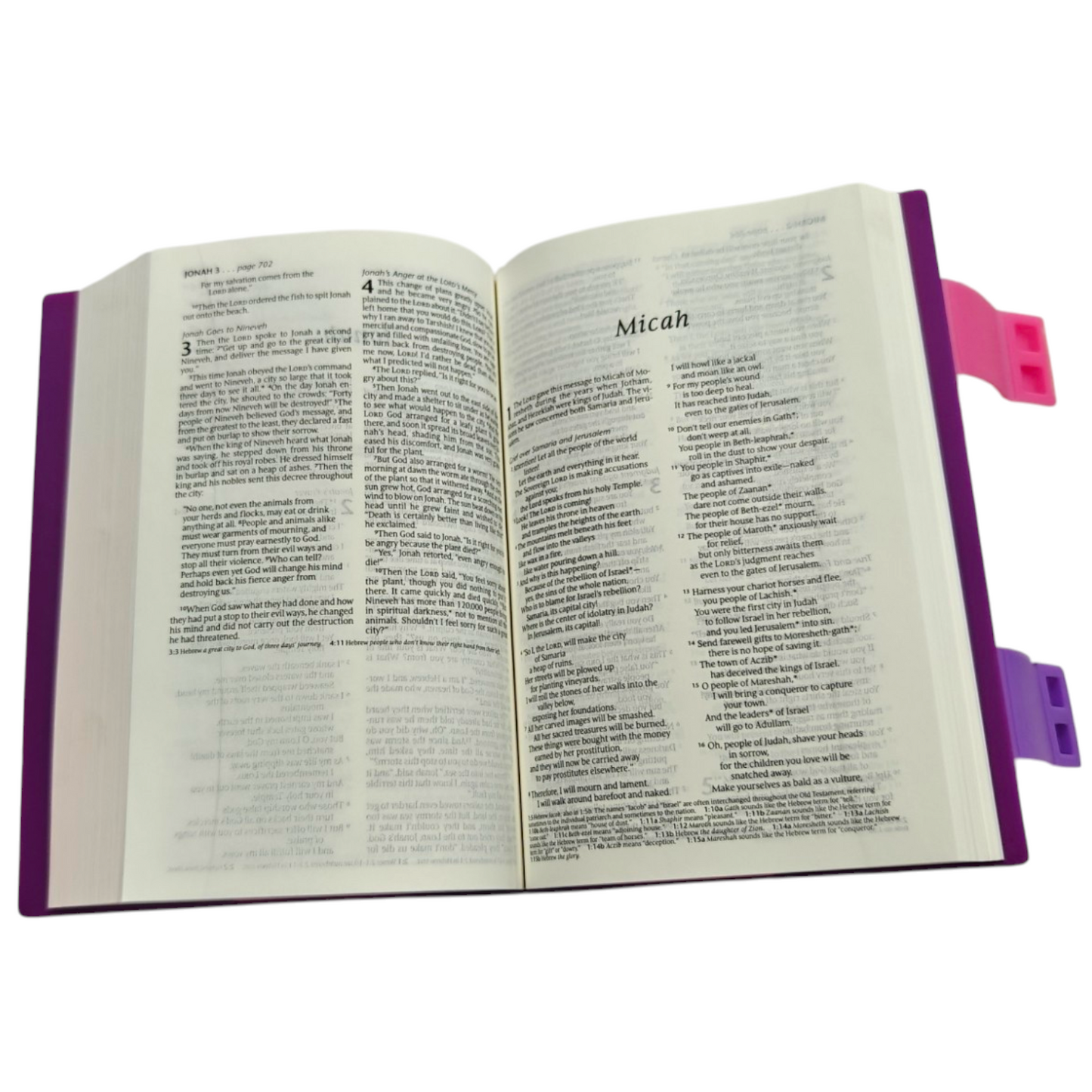 Glipit Bible NLT