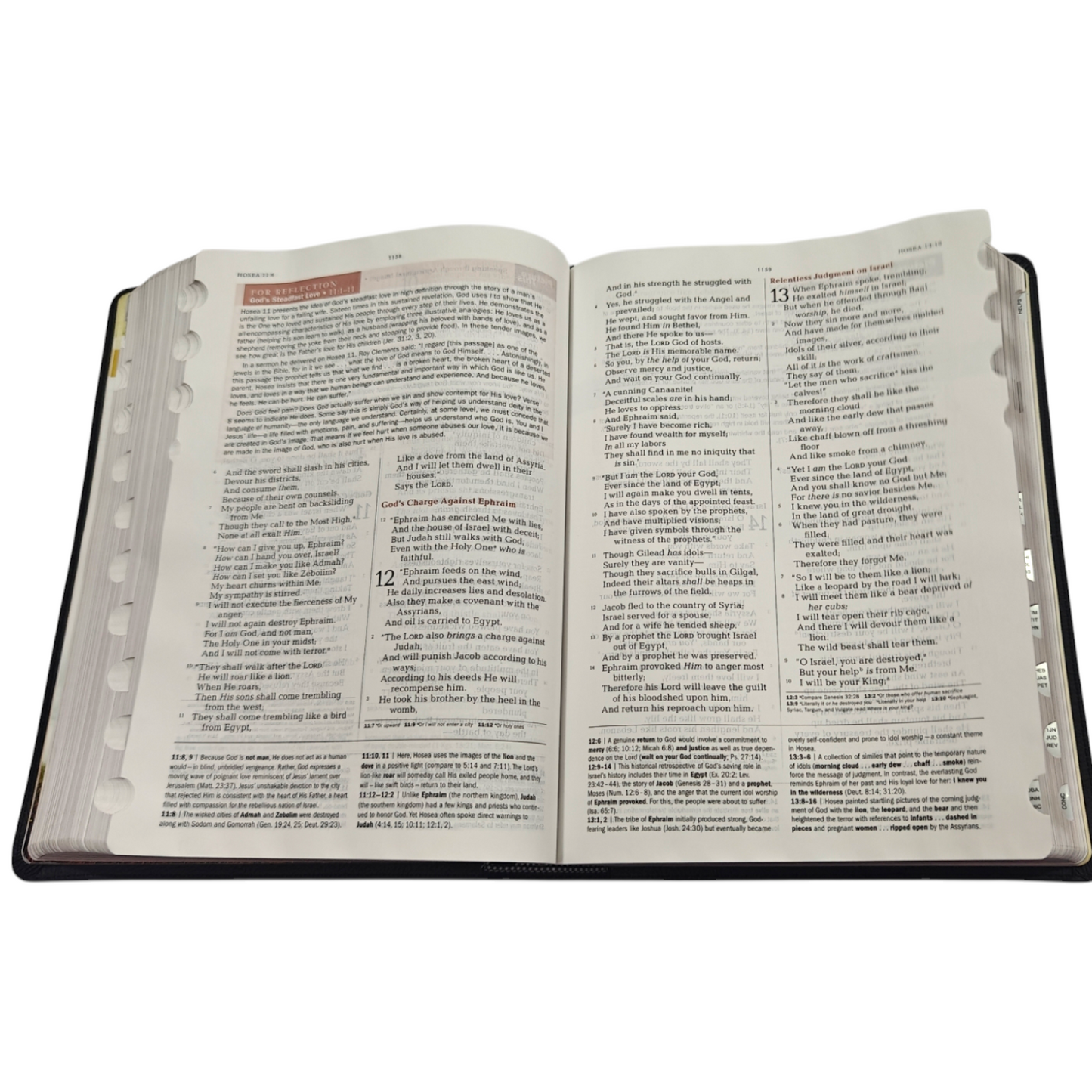 The Jeremiah Study Bible NKJV Jacketed Hardcover