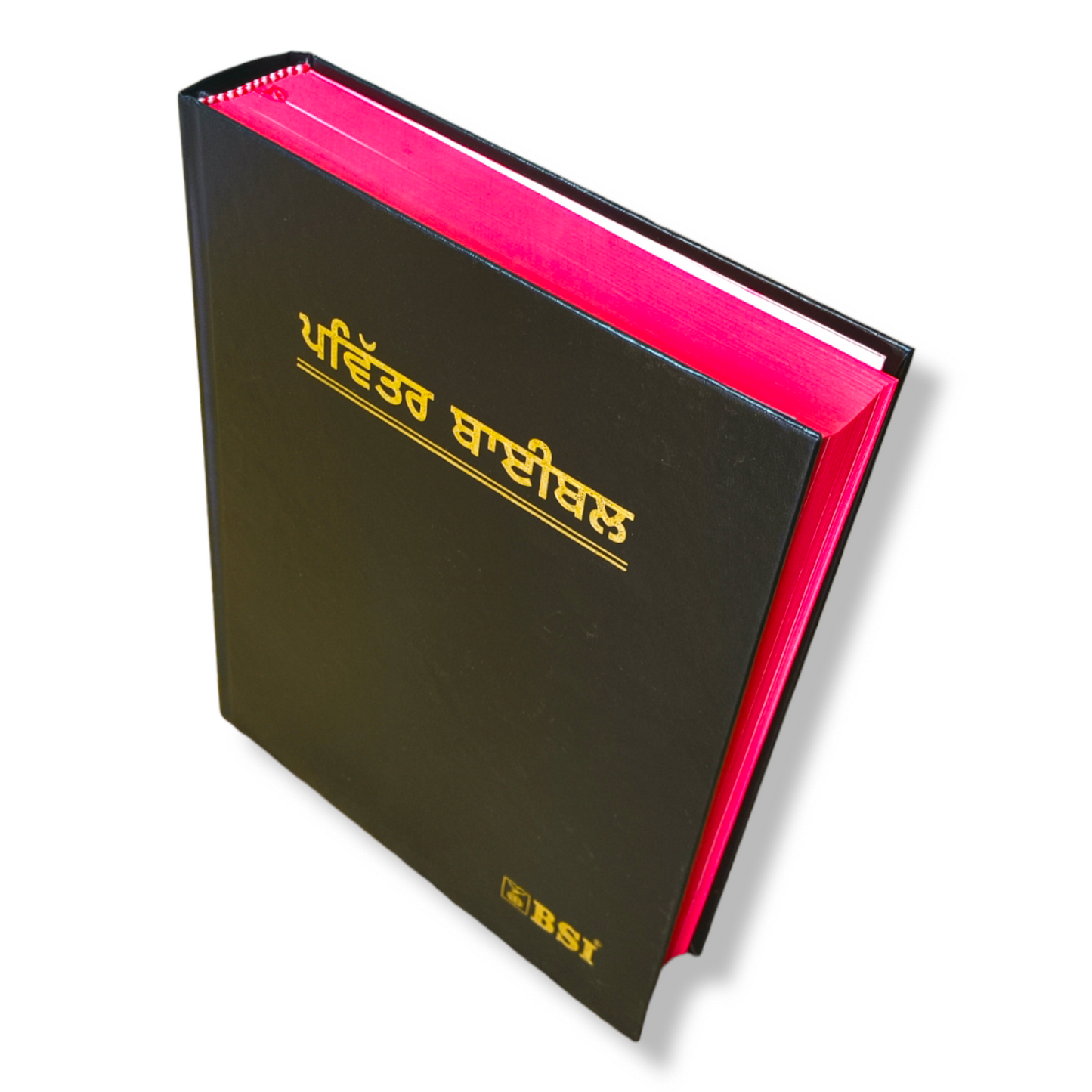 The Holy Pulpit Bible In Punjabi