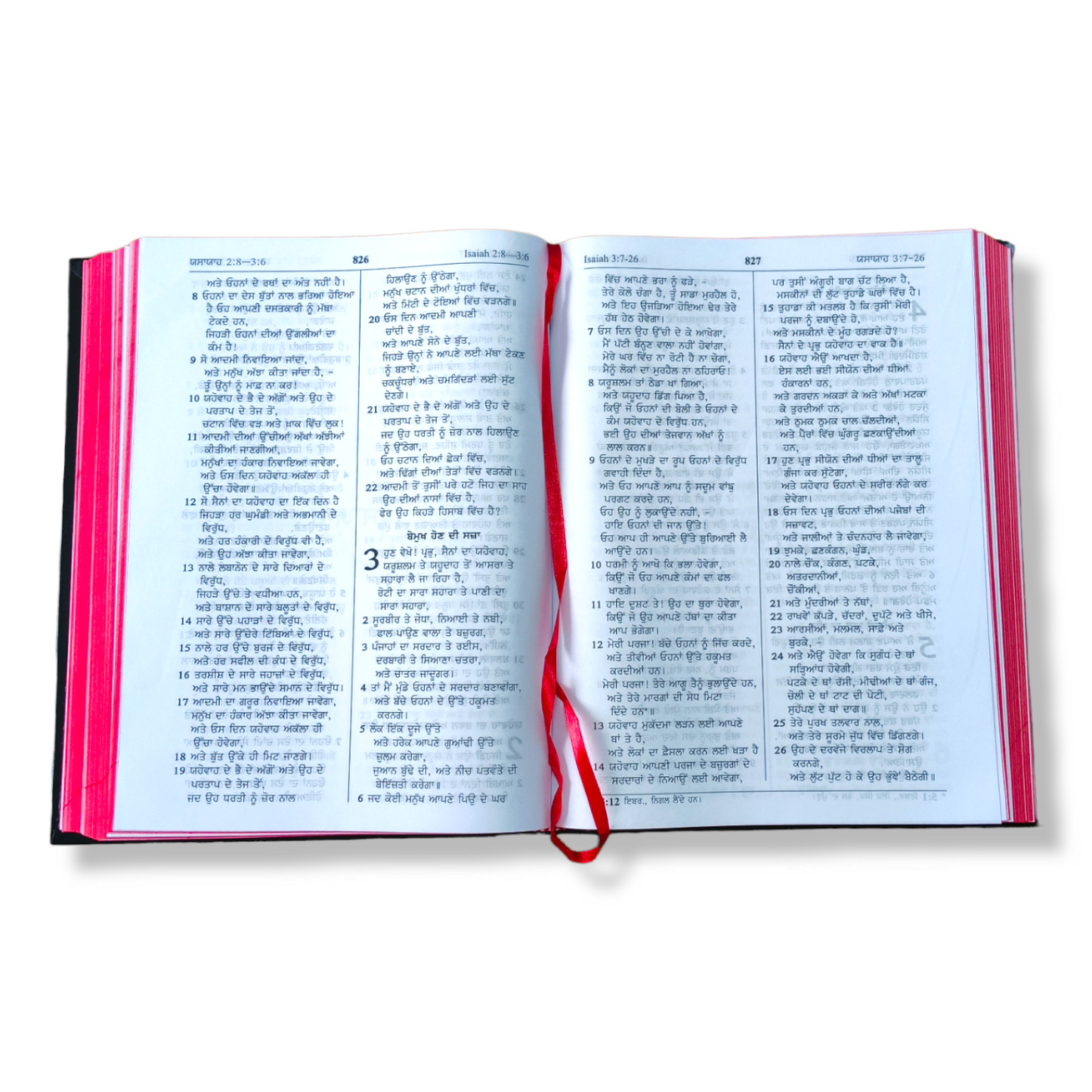 The Holy Pulpit Bible In Punjabi