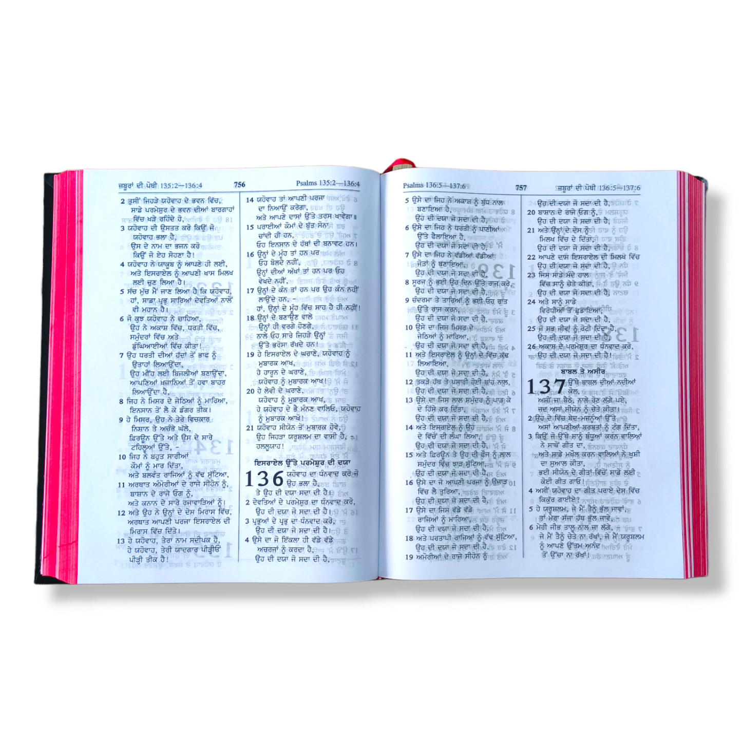 The Holy Pulpit Bible In Punjabi