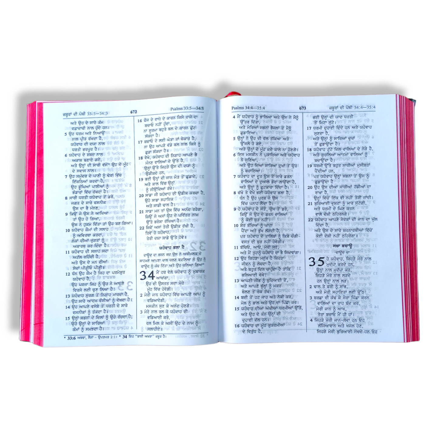 The Holy Pulpit Bible In Punjabi