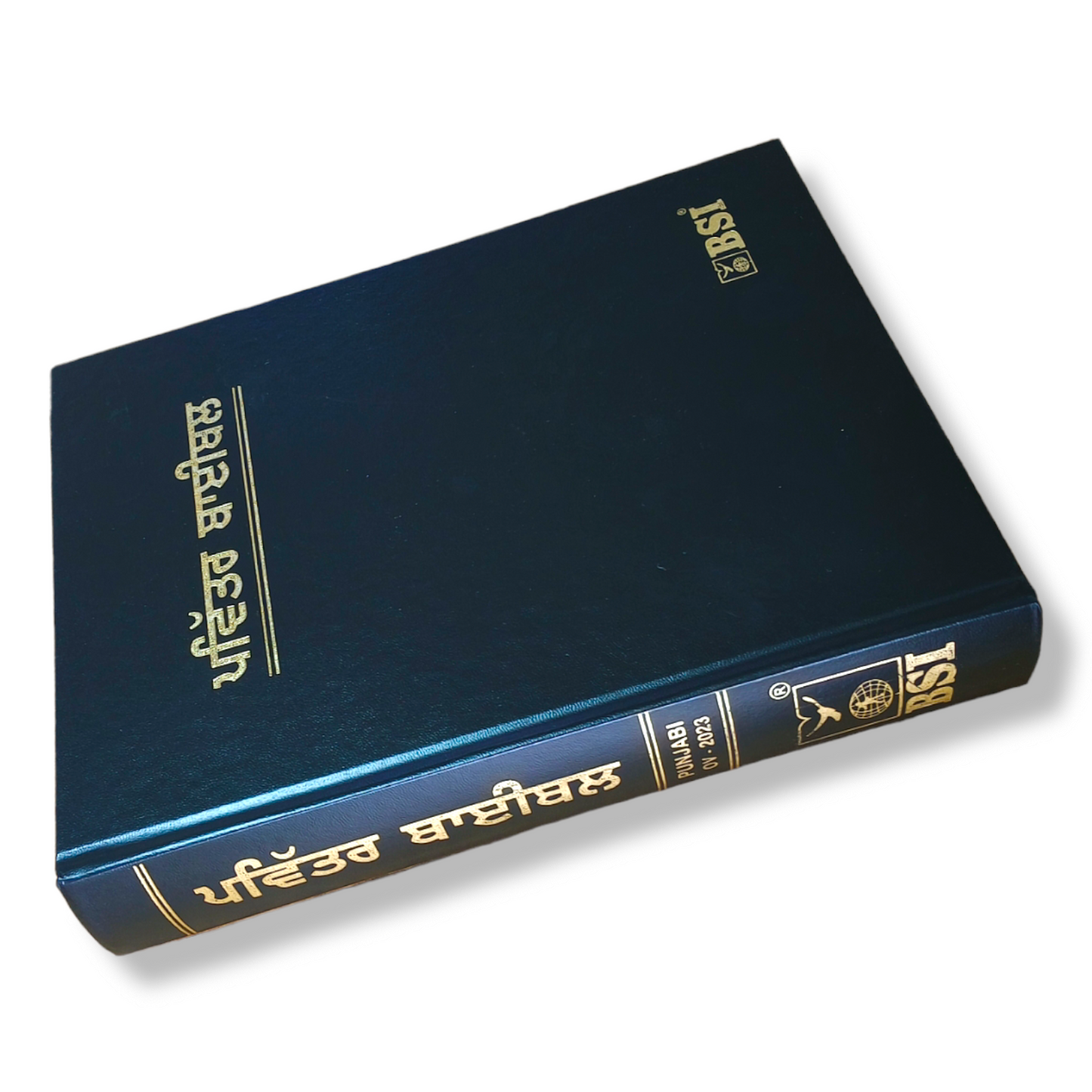 The Holy Pulpit Bible In Punjabi