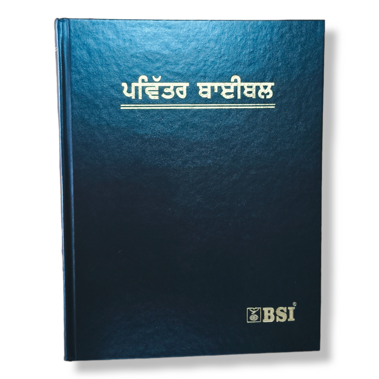 The Holy Pulpit Bible In Punjabi