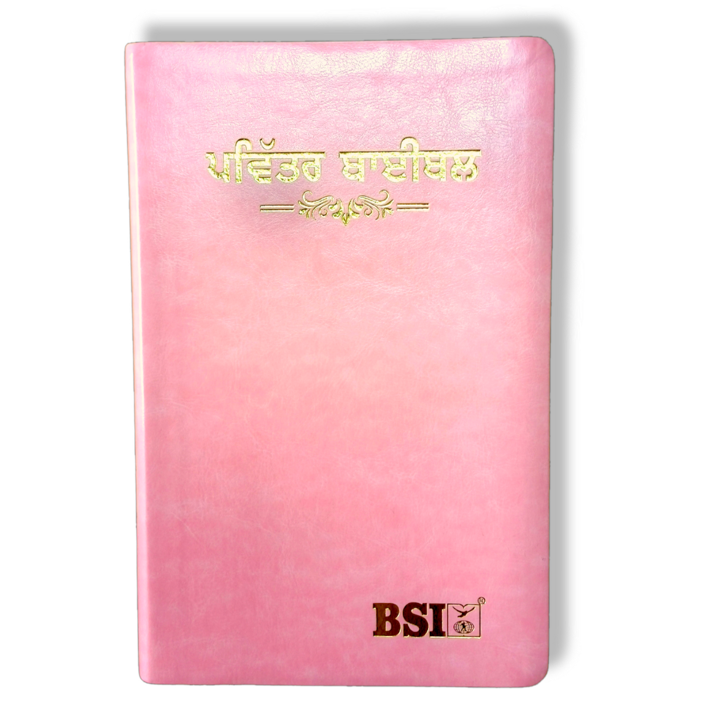 Punjabi Large Printed Bible In Pink Color Bound