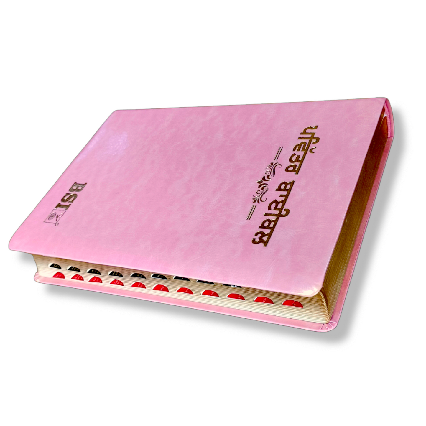 Punjabi Large Printed Bible In Pink Color Bound
