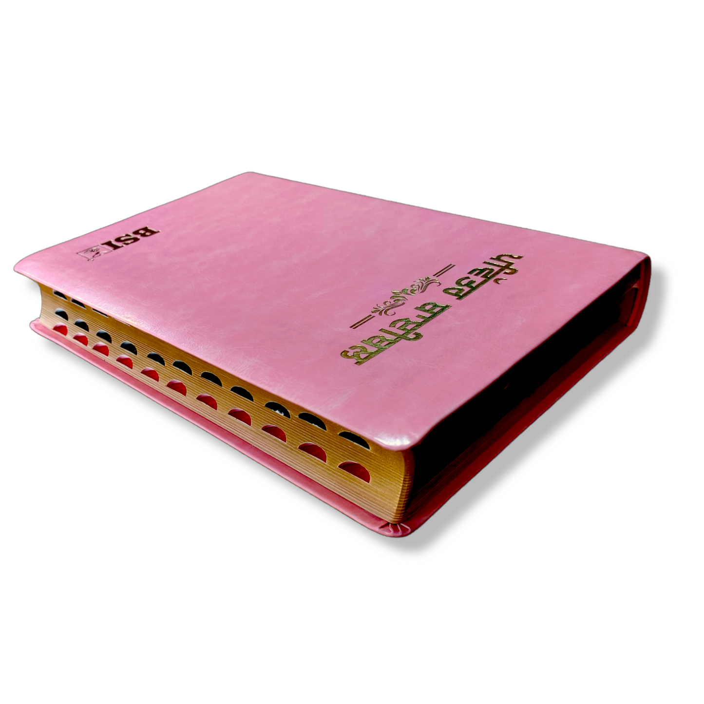 Punjabi Large Printed Bible In Pink Color Bound