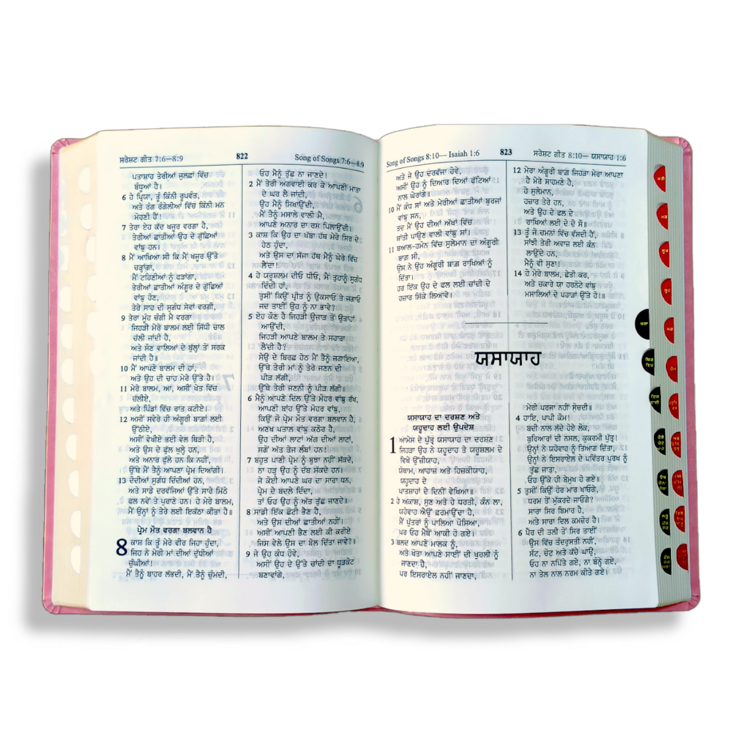 Punjabi Large Printed Bible In Pink Color Bound