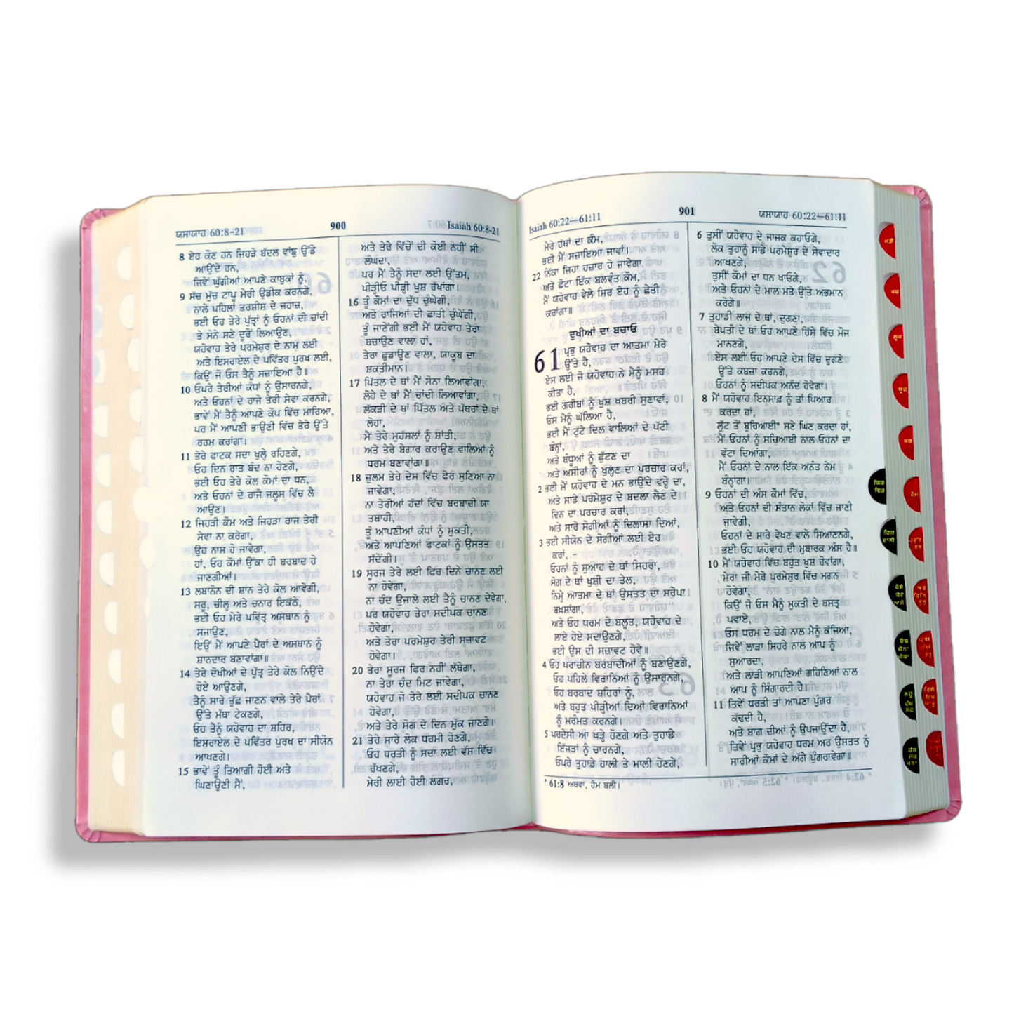 Punjabi Large Printed Bible In Pink Color Bound
