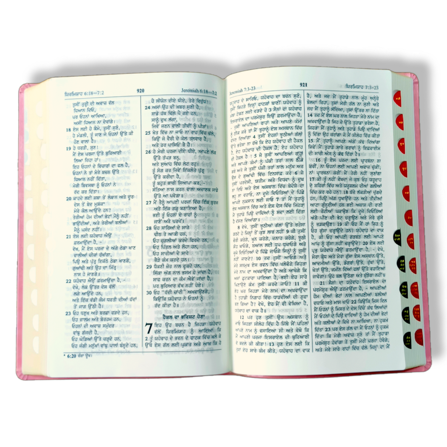 Punjabi Large Printed Bible In Pink Color Bound