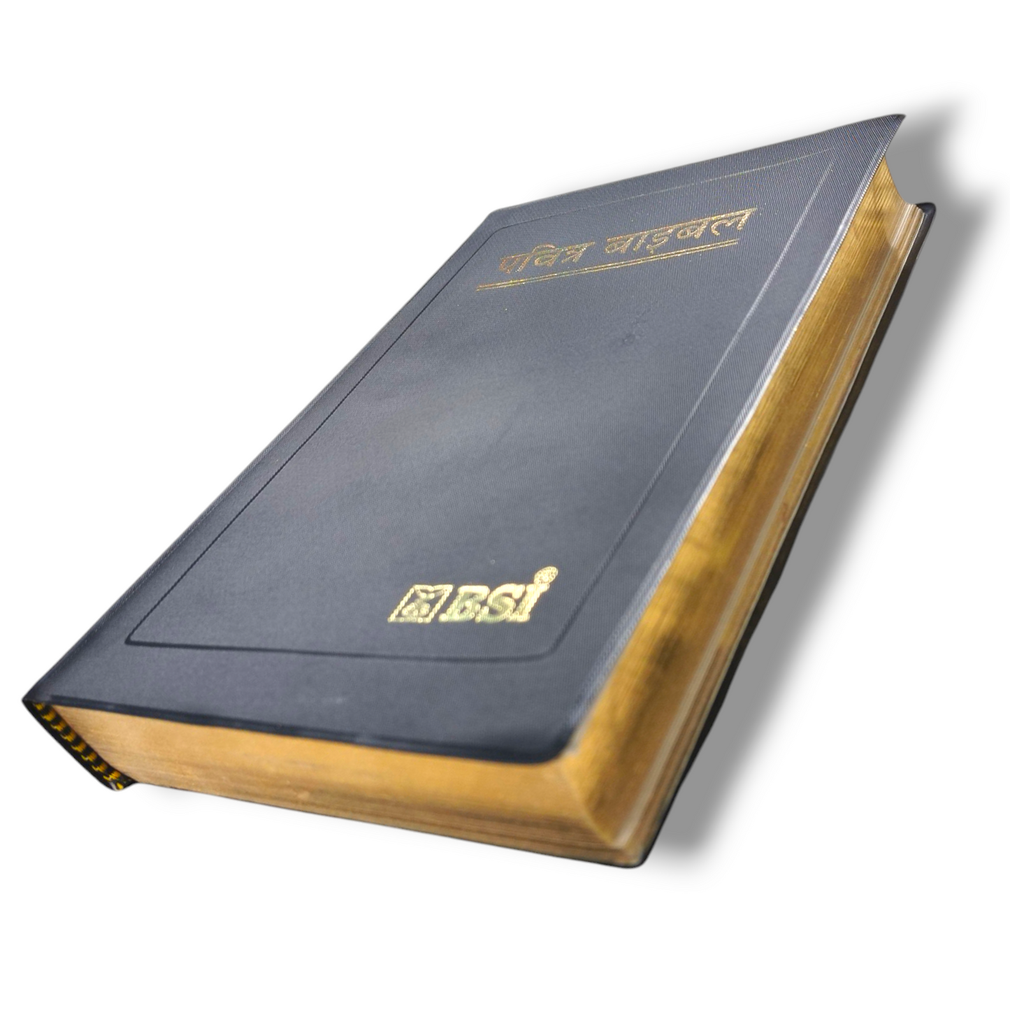 Hindi Bible | With Red Letter Edition | Paper Bound | Golden Edge | Medium Size | New Edition