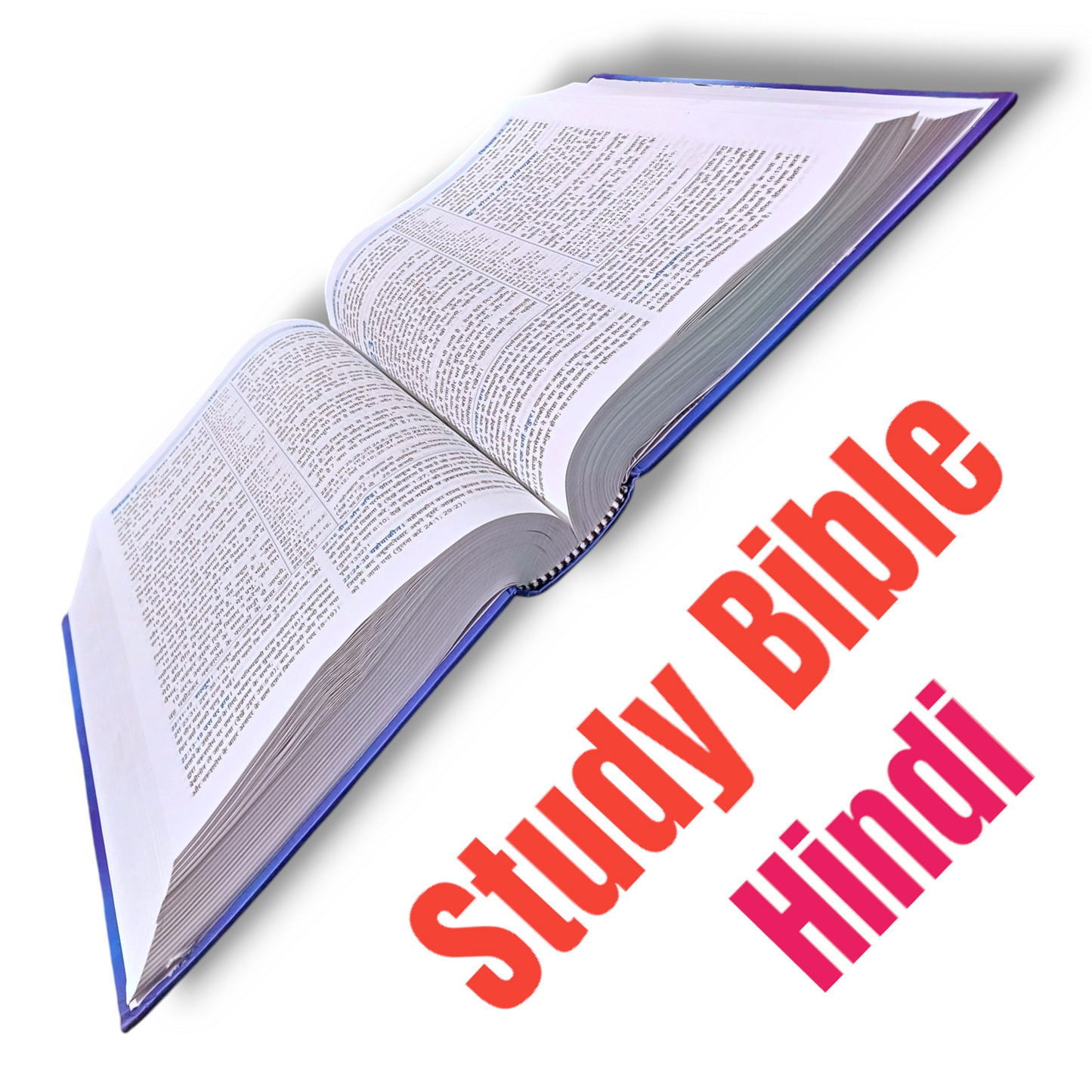 Hindi Full Life Study Bible | Large Print Edition | Hard Bound | New Edition