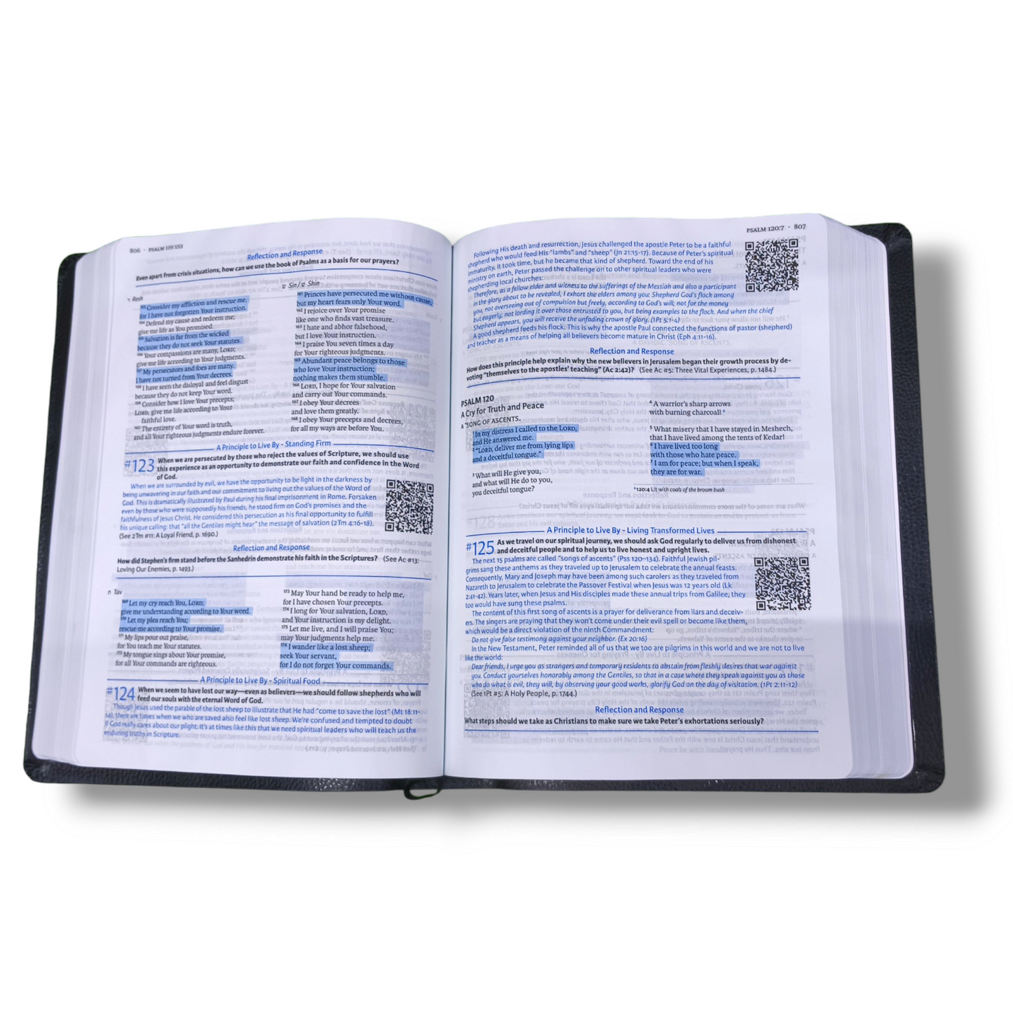 Life Essentials Study Bible | New Edition | Black Imitation Leather