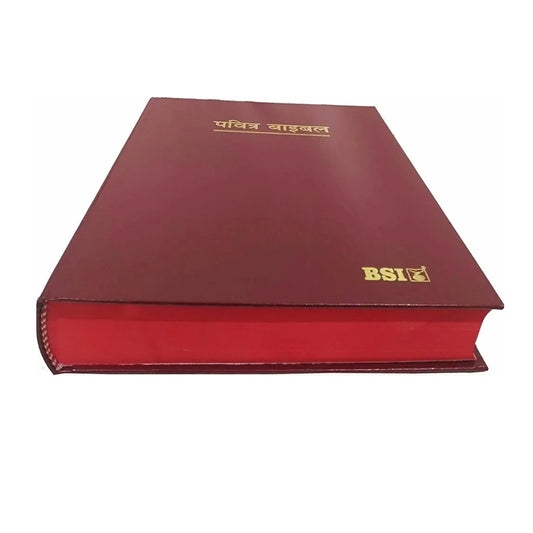 The Holy Pulpit Big Letter Bible In Hindi