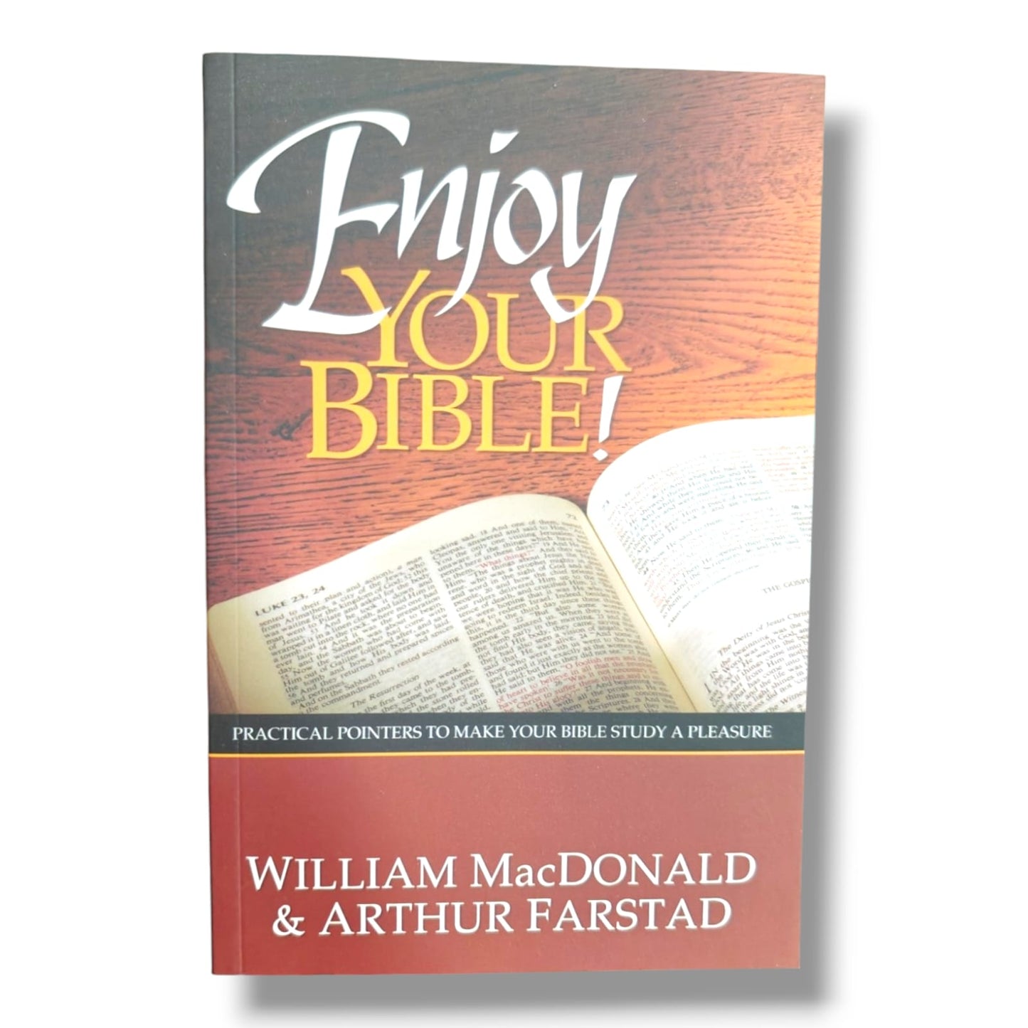 Enjoy Your Bible: Luke 23–24 | Interactive Bible Study & Devotional Book