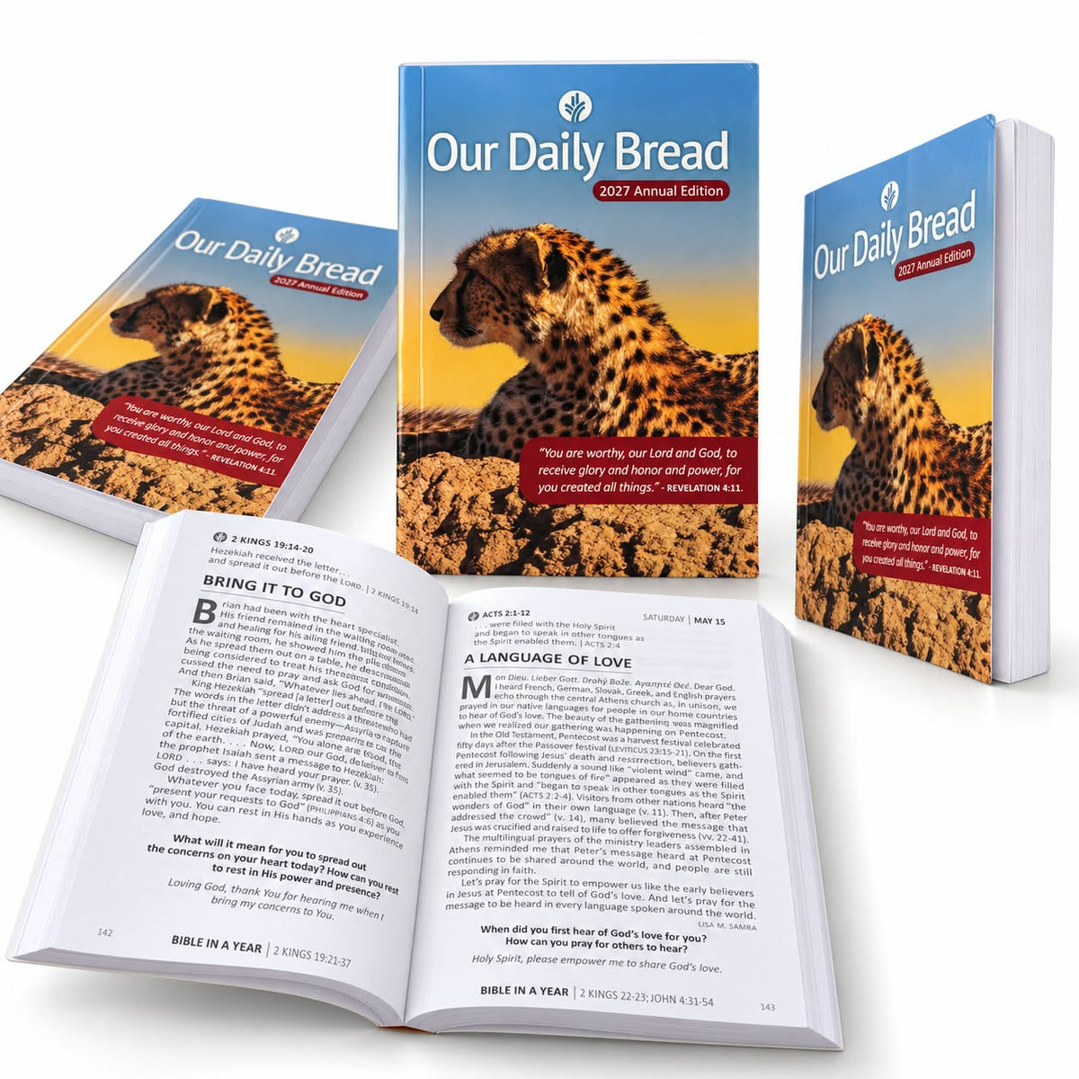 2027 Christian Diary Combo Set of 3 – 2 Bible Verse Diaries + Our Daily Bread