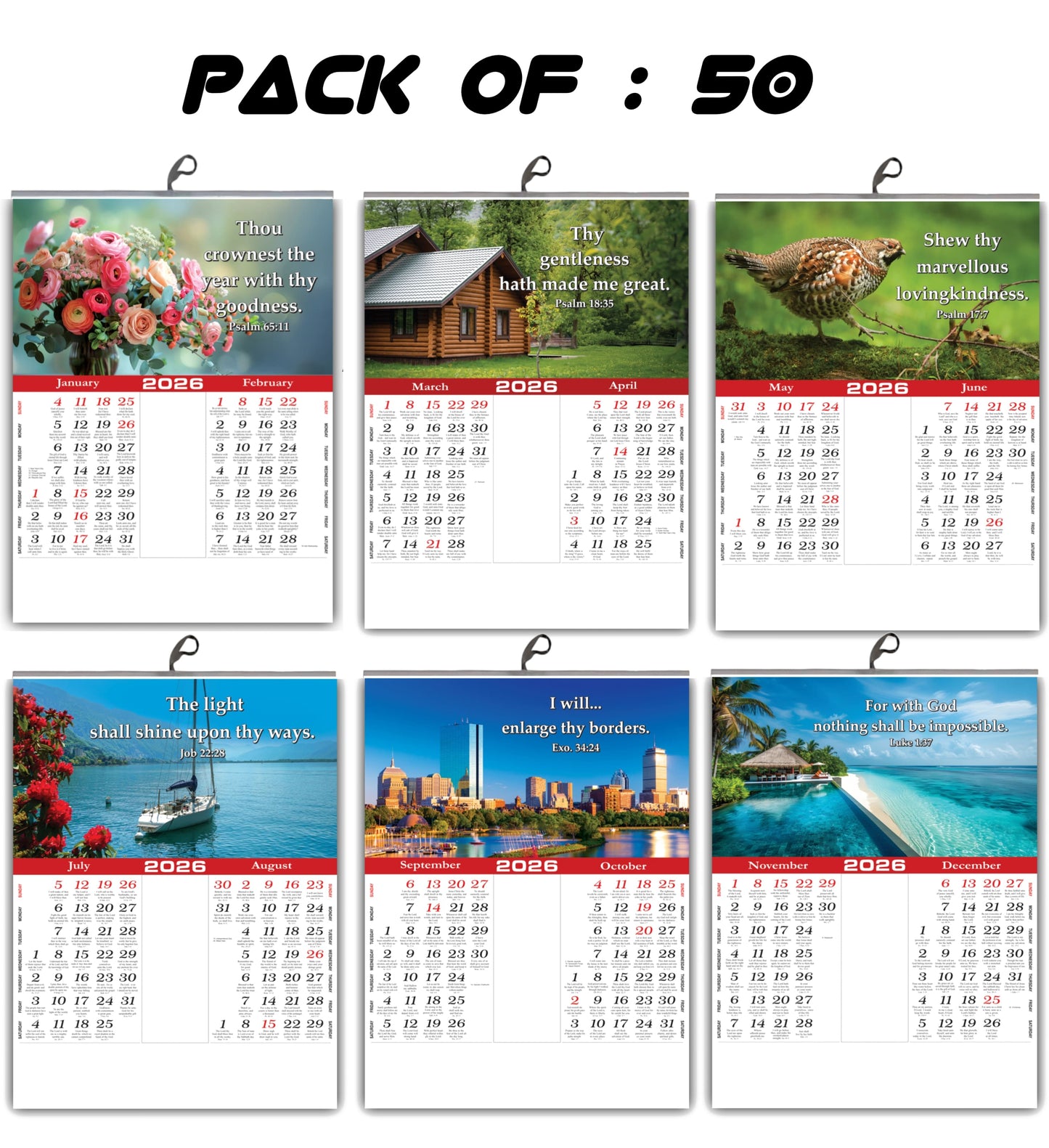 2026 "A Year of Wonder" Wall Calendar | Cute Baby, Flowers & Birds with Heartwarming Quotes 15x20 Inch Premium Glossy Wall Calendar