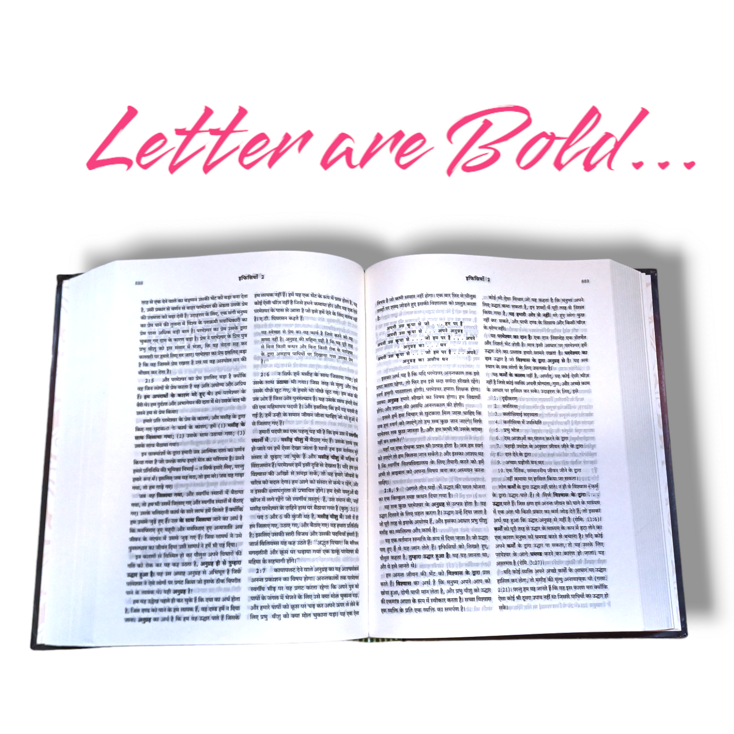 Believer's Bible Commentary ( Bible Teeka ) - New Testament (Hindi)
