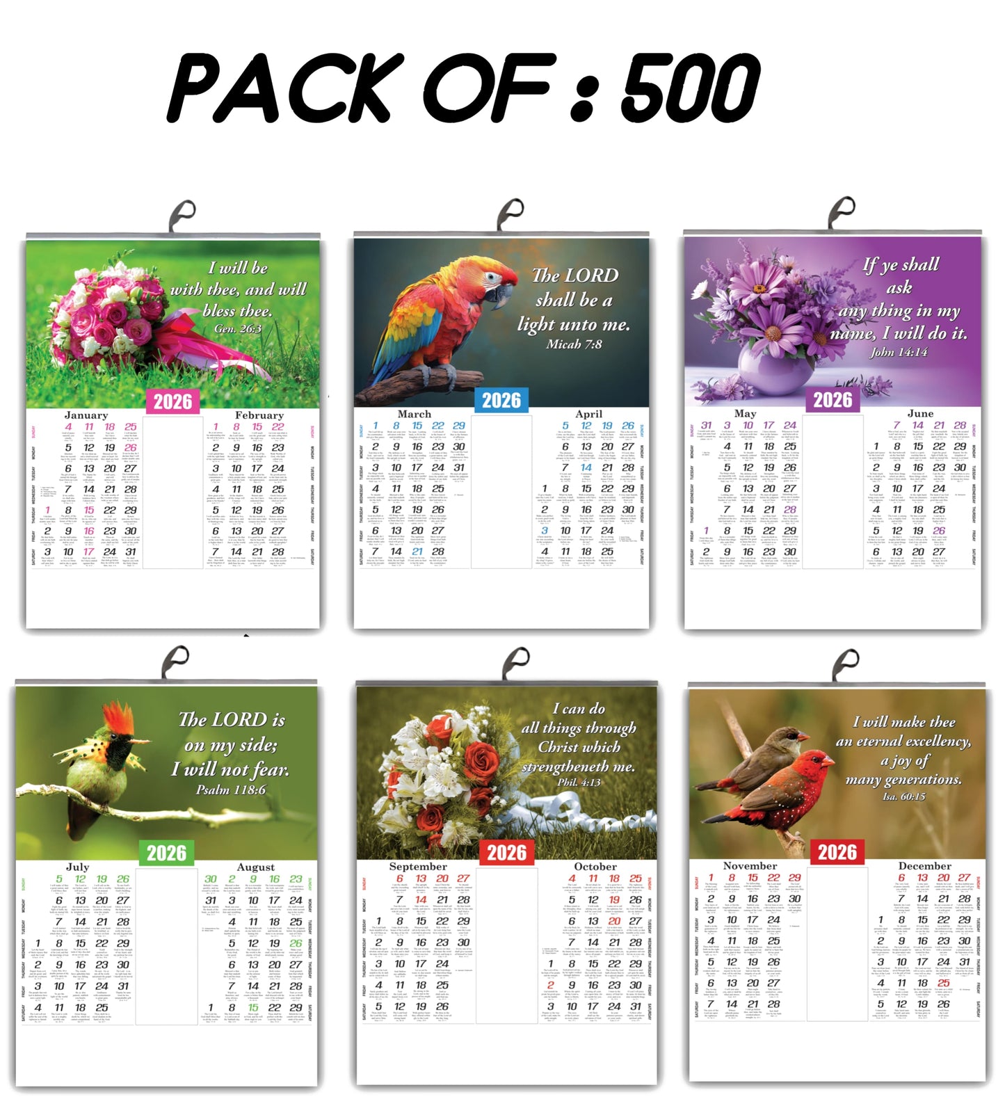 2026 English Baby Calendar: Beautiful Flowers, Birds, and Inspirational Promise Words | 15x20 Inch Premium Glossy Wall Calendar