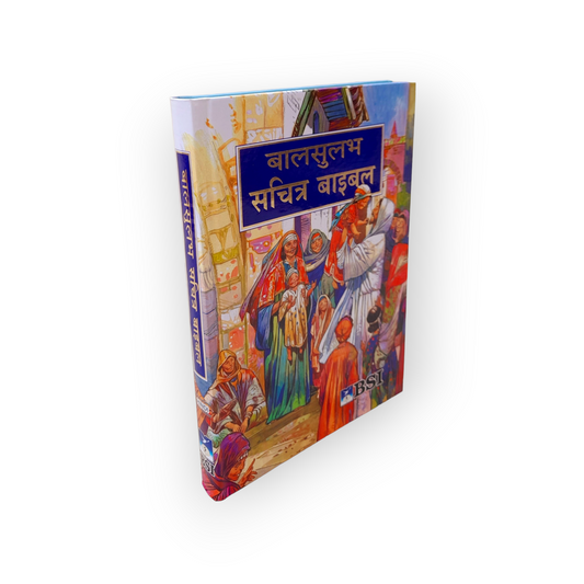 Small The Holy Hindi Children’s Bible , Bible Children’s , Jesus Storybook Bible , Hardcover