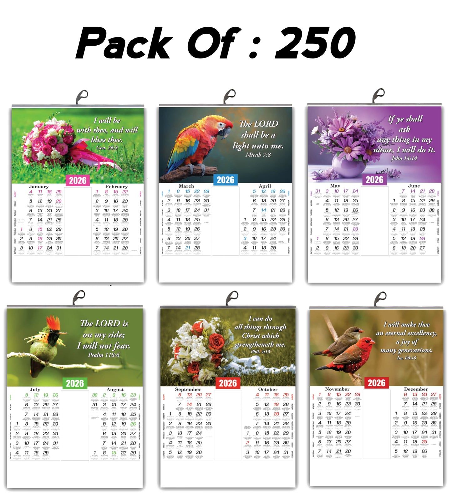 2026 English Baby Calendar: Beautiful Flowers, Birds, and Inspirational Promise Words | 15x20 Inch Premium Glossy Wall Calendar
