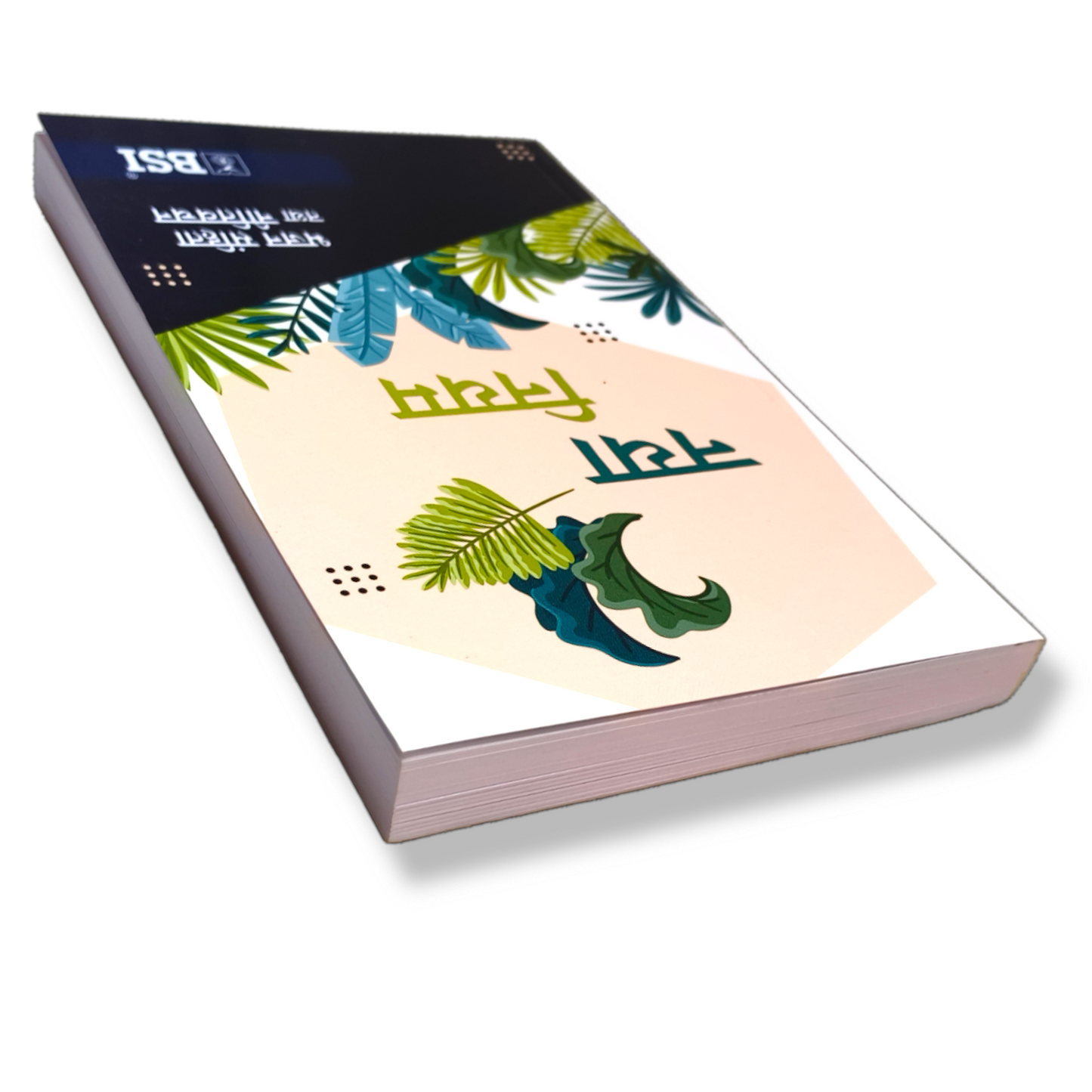 New Testament of the Bible in Hindi