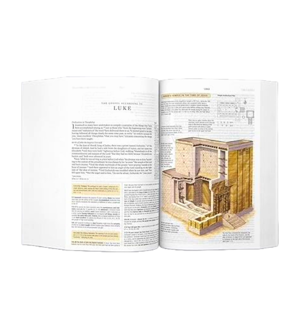 ESV Study Bible | With Related Picture's | Hard Bound Edition | Large Print | New Edition