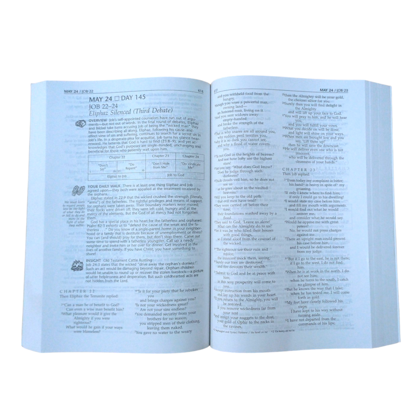 The Daily Walk Bible | Paper Bound Edition | NIV Version | Study Bible | New Edition