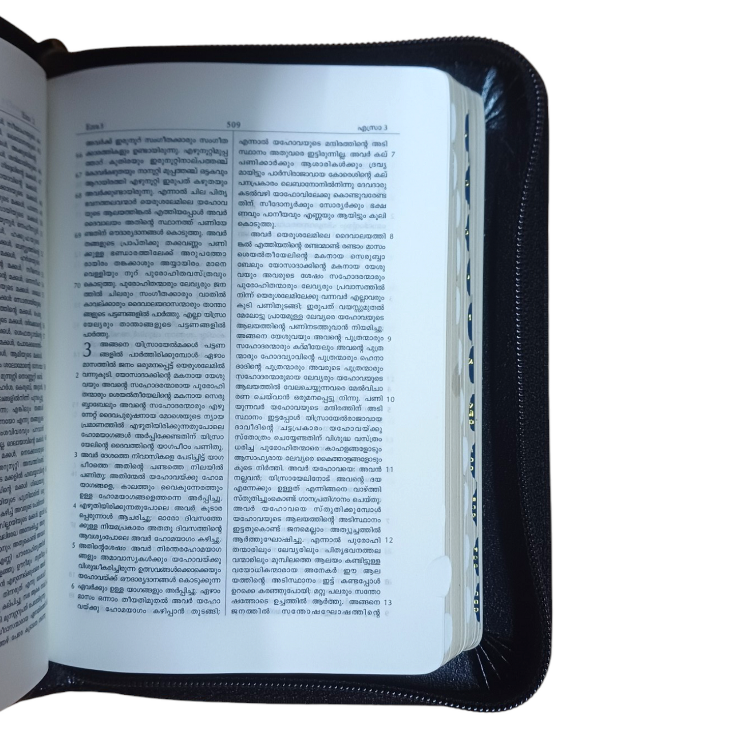 Malayalam Pocket Edition | KBS ( Korean Printed Bible ) | With Thumb Index | Golden Edge Bible & Zip | New Edition