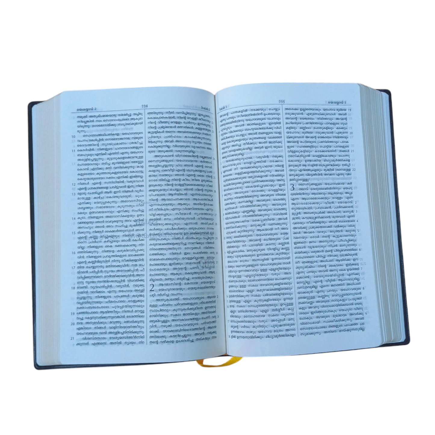 Malayalam Classic Pulse Edition | KBS ( Korean Printed Bible ) | Golden Edge Bible | Leather Black Bound