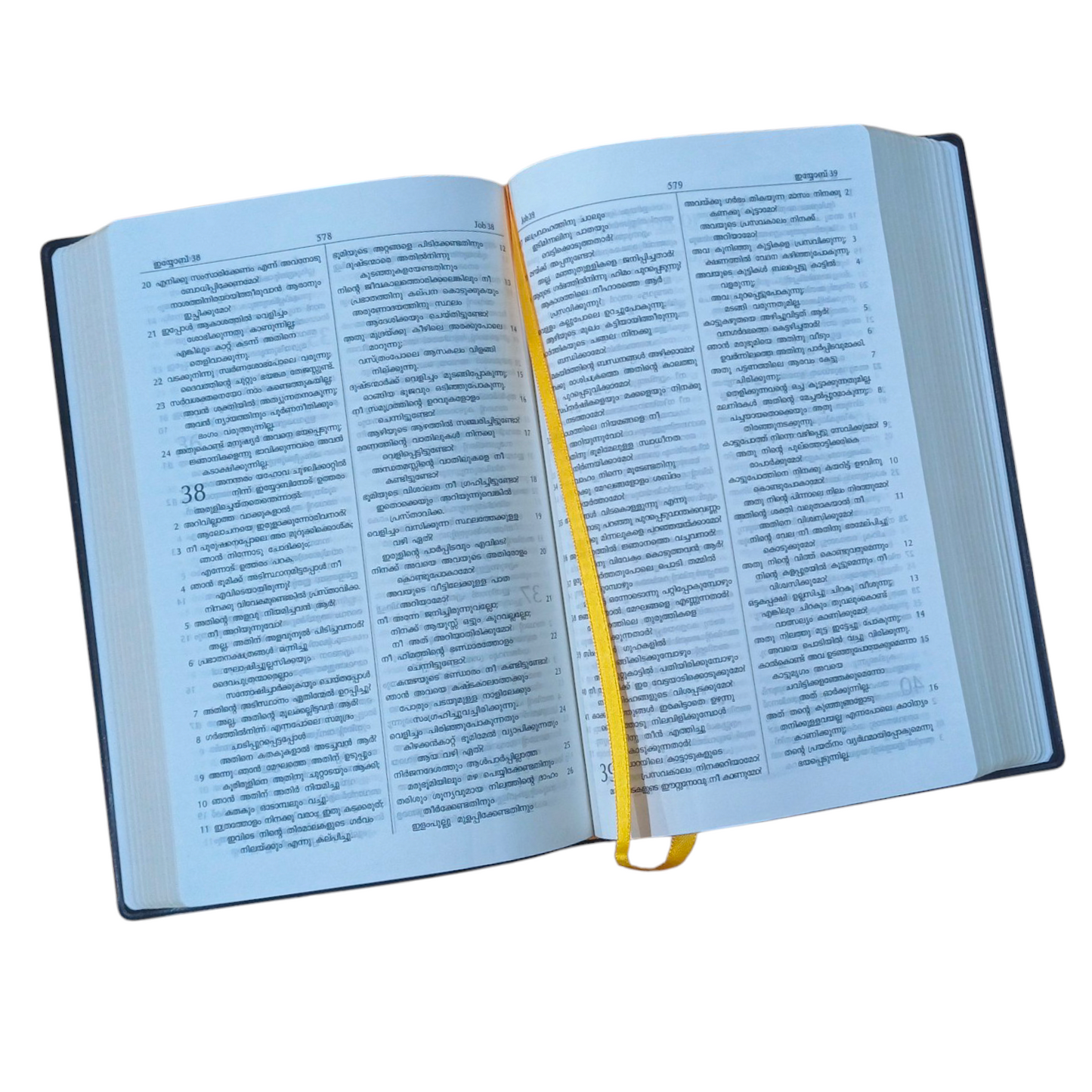 Malayalam Classic Pulse Edition | KBS ( Korean Printed Bible ) | Golden Edge Bible | Leather Black Bound