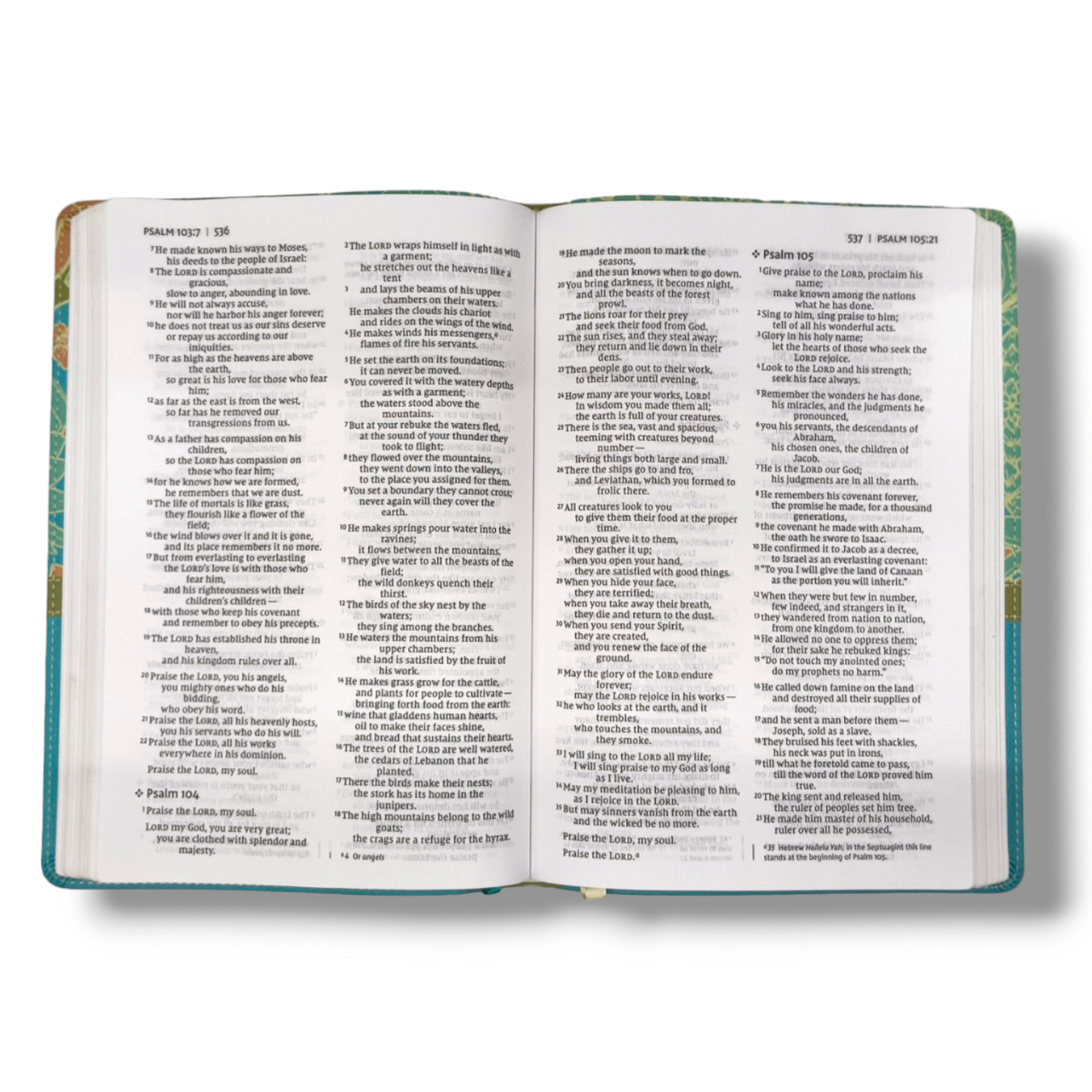 NIV Thinline Bible | Giant Print | Thinline Giant Print | Imitation Leather | Red Letter Edition | New International Version | Turquoise | Leathersoft | New Edition