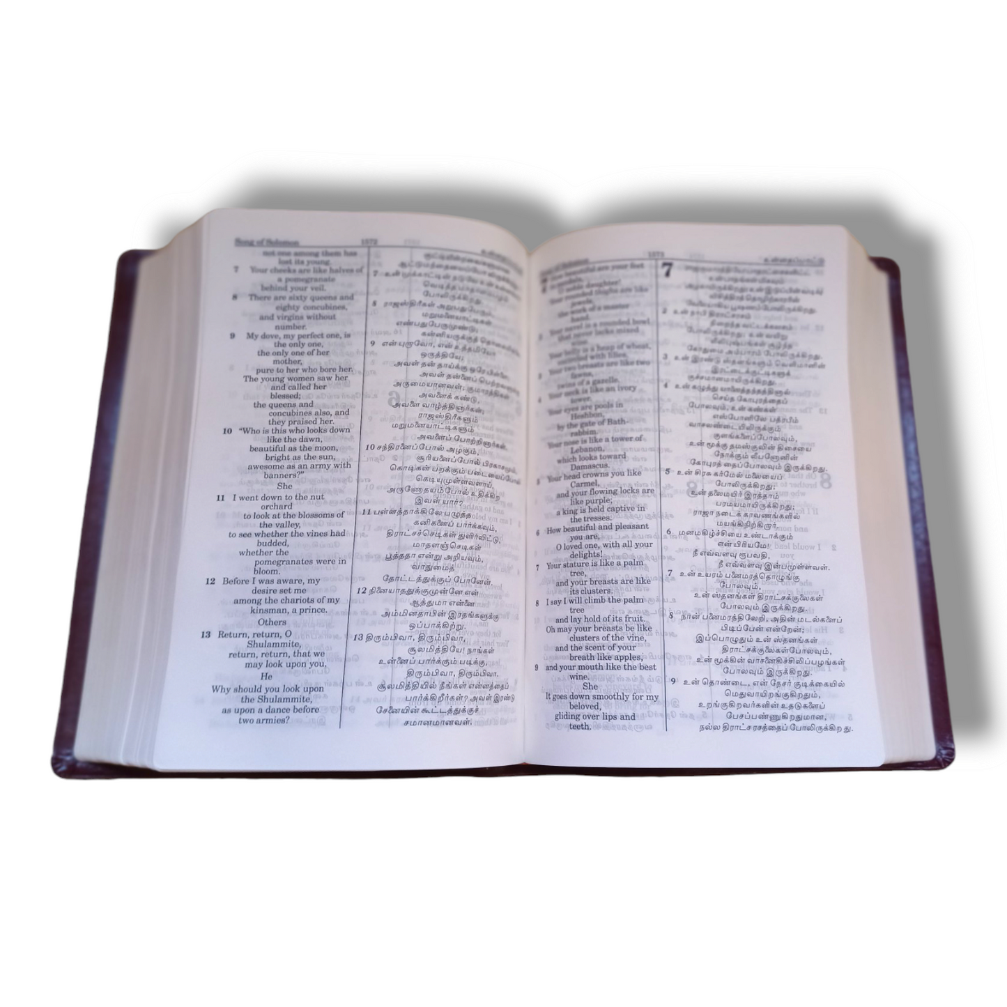 Tamil-English Diglot Bible | Korean Print | Large Print | Black Leather Bound Edition | Golden Edge | New Edition