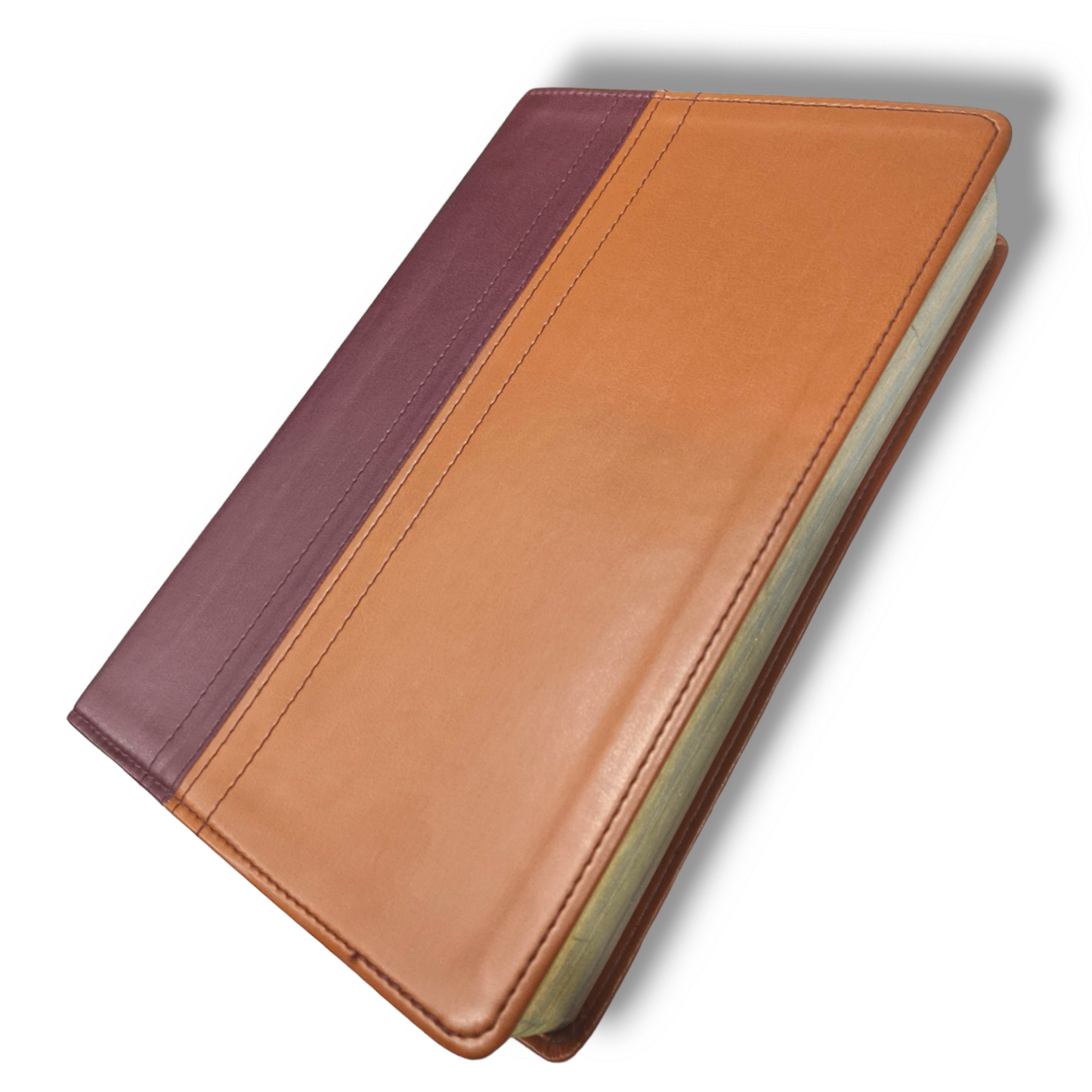 Quest Study Bible | The Question And Answer Bible | NIV Personal Size | Leather Soft | New Edition