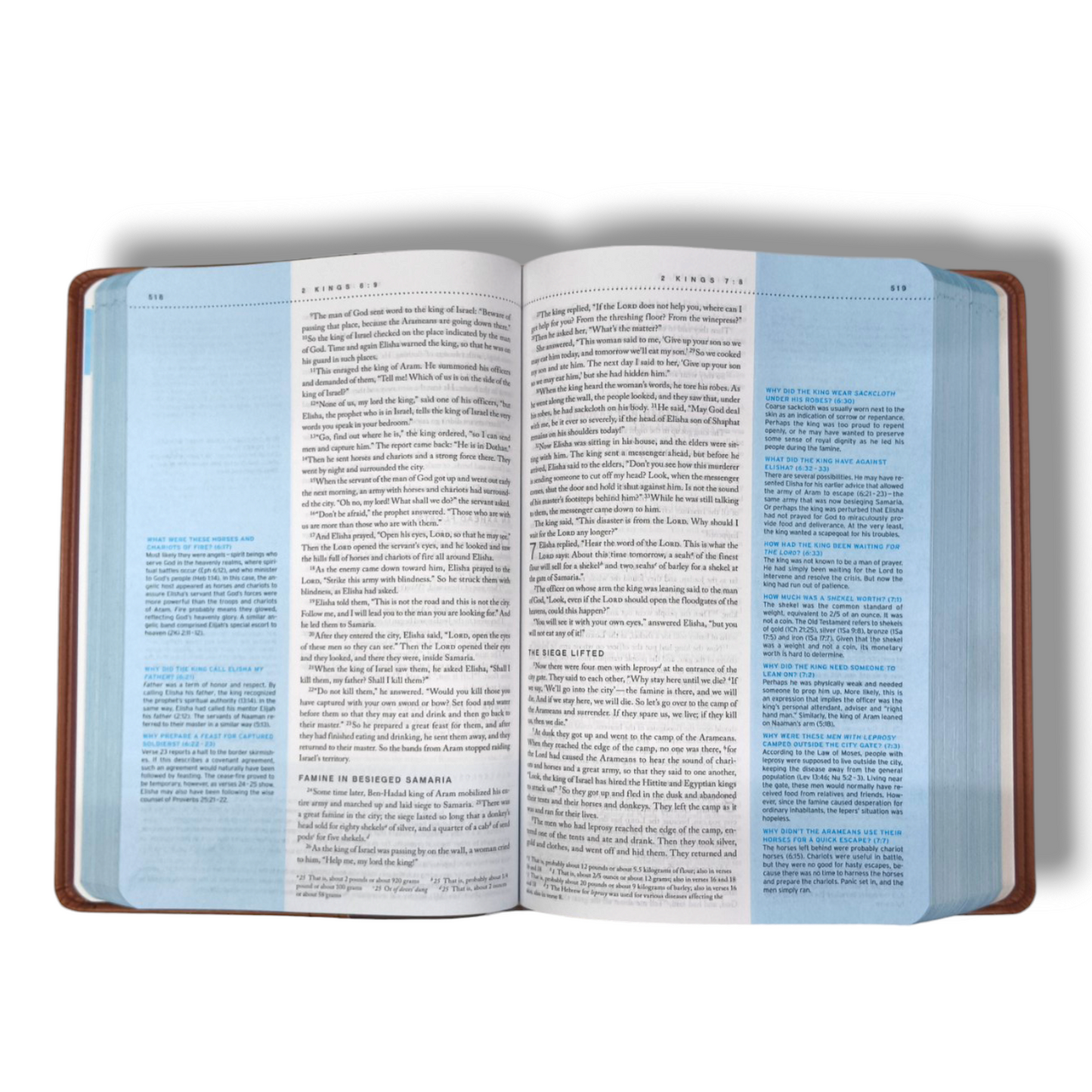 Quest Study Bible | The Question And Answer Bible | NIV Personal Size | Leather Soft | New Edition