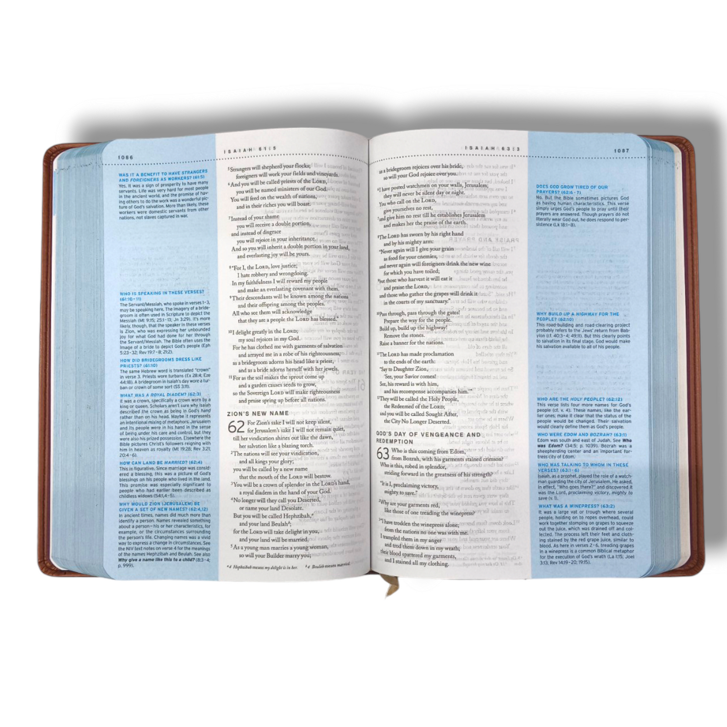 Quest Study Bible | The Question And Answer Bible | NIV Personal Size | Leather Soft | New Edition