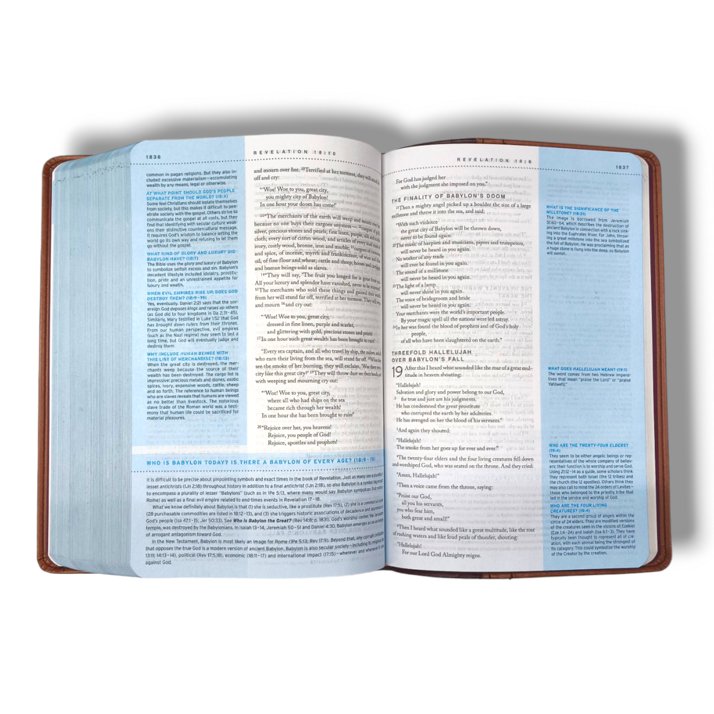 Quest Study Bible | The Question And Answer Bible | NIV Personal Size | Leather Soft | New Edition