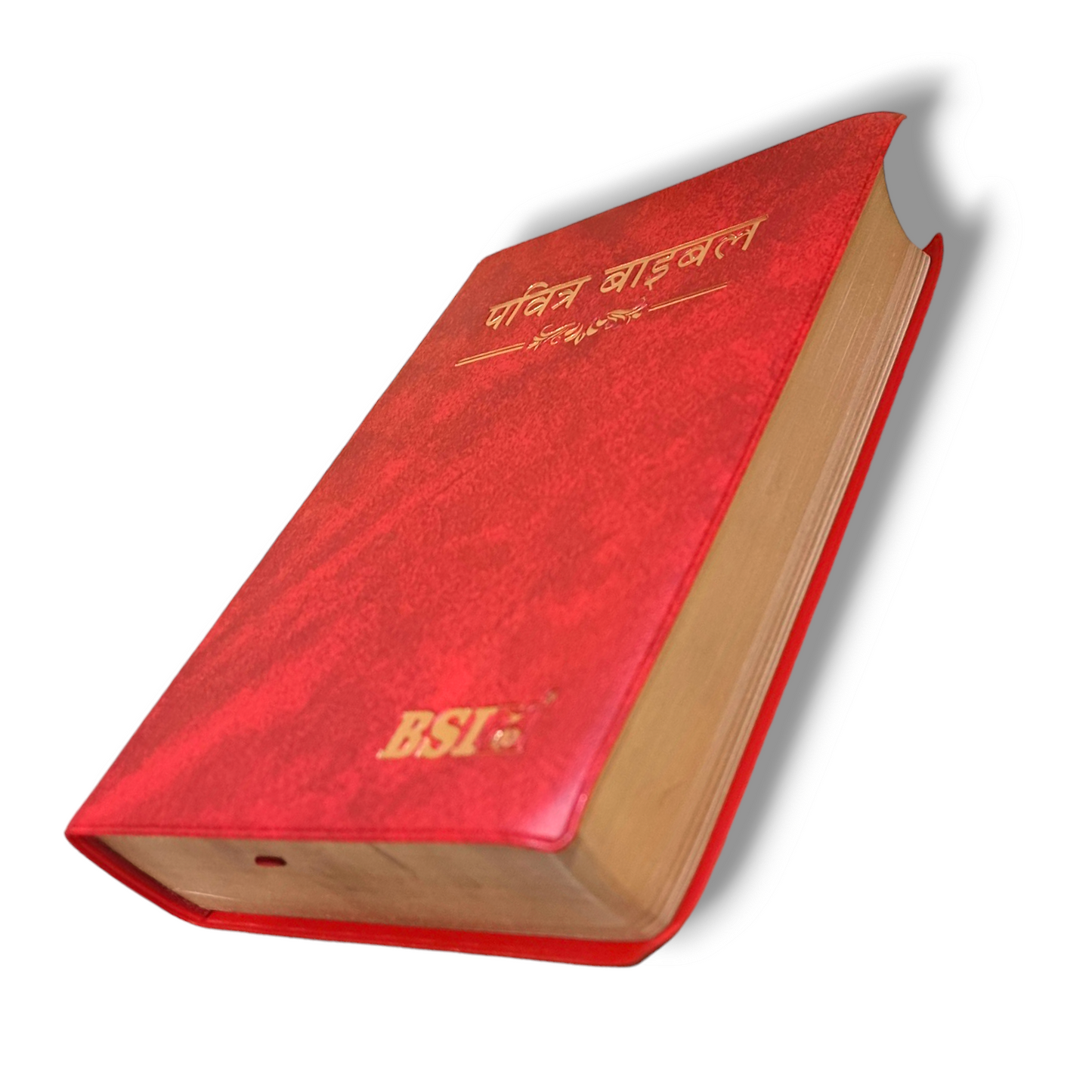 Holy Hindi Bible | Crown Size Edition | Maroon Color Bound | With Golden Edge | Attractive Bound Edition | New Edition