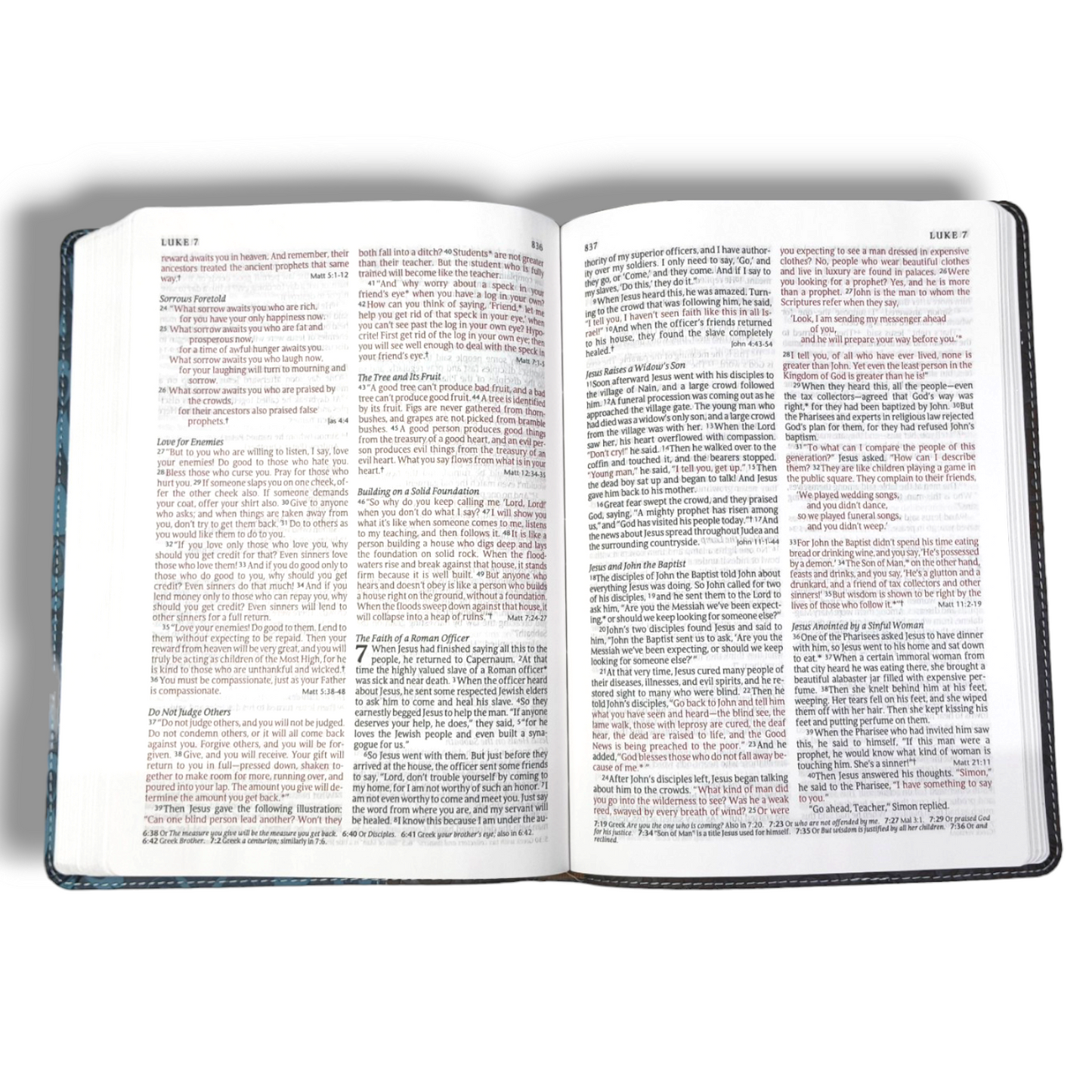 NLT Premium Slimline Reference Bible | Large Print | New Edition | Attractive Design Bound | Study Bible