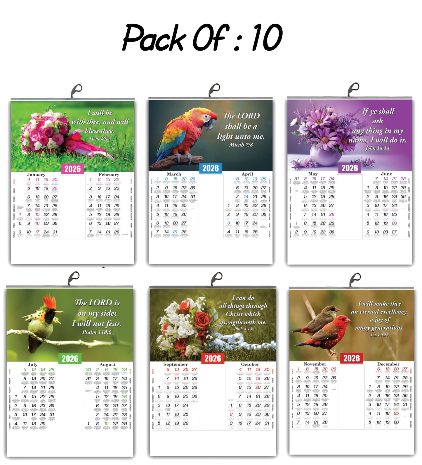 2026 English Baby Calendar: Beautiful Flowers, Birds, and Inspirational Promise Words | 15x20 Inch Premium Glossy Wall Calendar