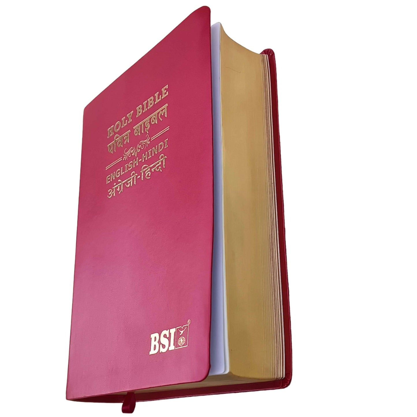 English Hindi Diglot Bible in Leather Bond
