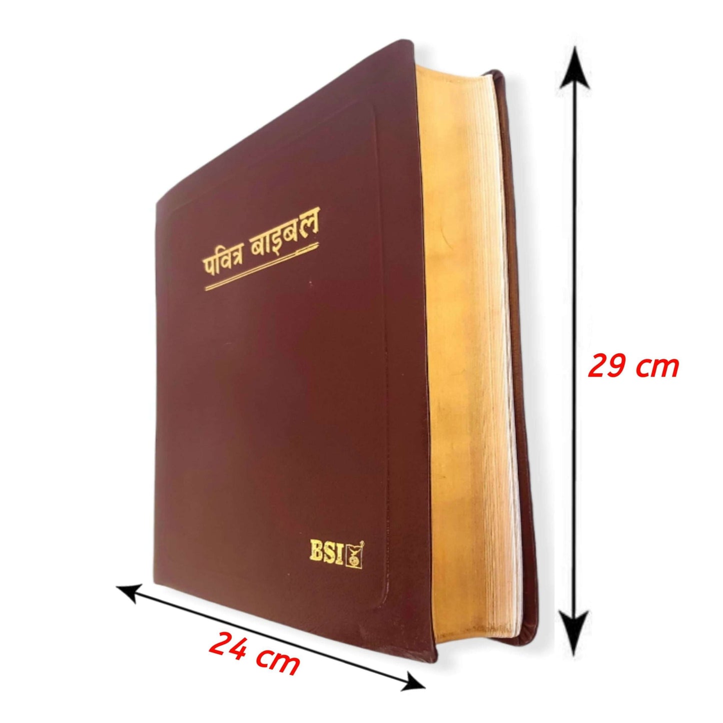 The Holy Pulpit Big Letter | Leather Cover | Golden Edge Bible | In Hindi Leather Cover | New Edition