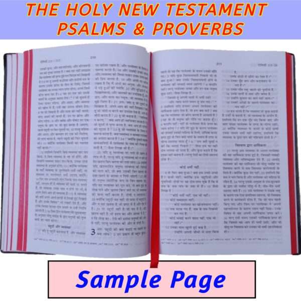 The Holy New Testament Psalms & Proverbs