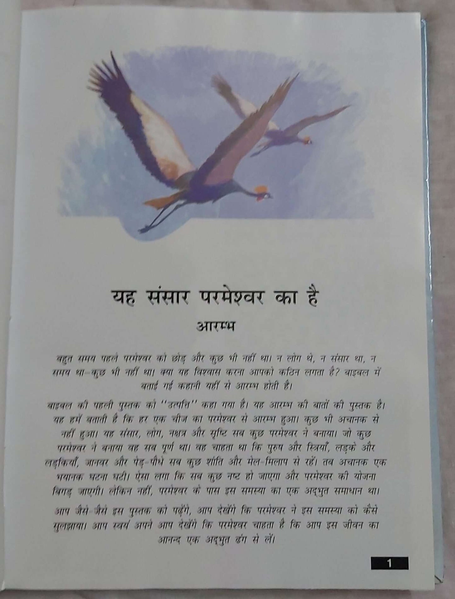 The Holy Hindi Children’s Bible , Bible Children’s , Jesus Storybook Bible , Hardcover