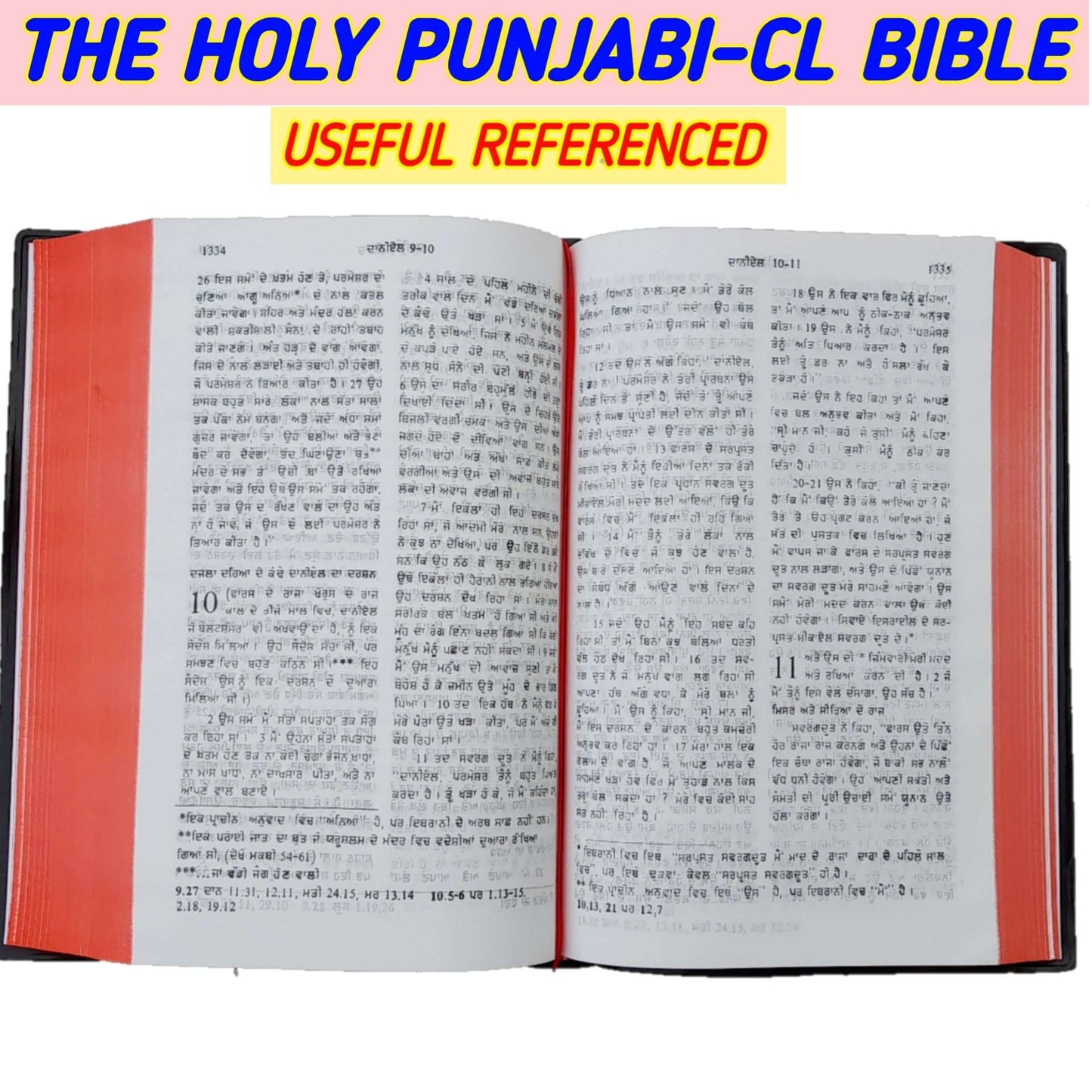 The Holy Punjabi Bible | Normal Size Bible | New Edition